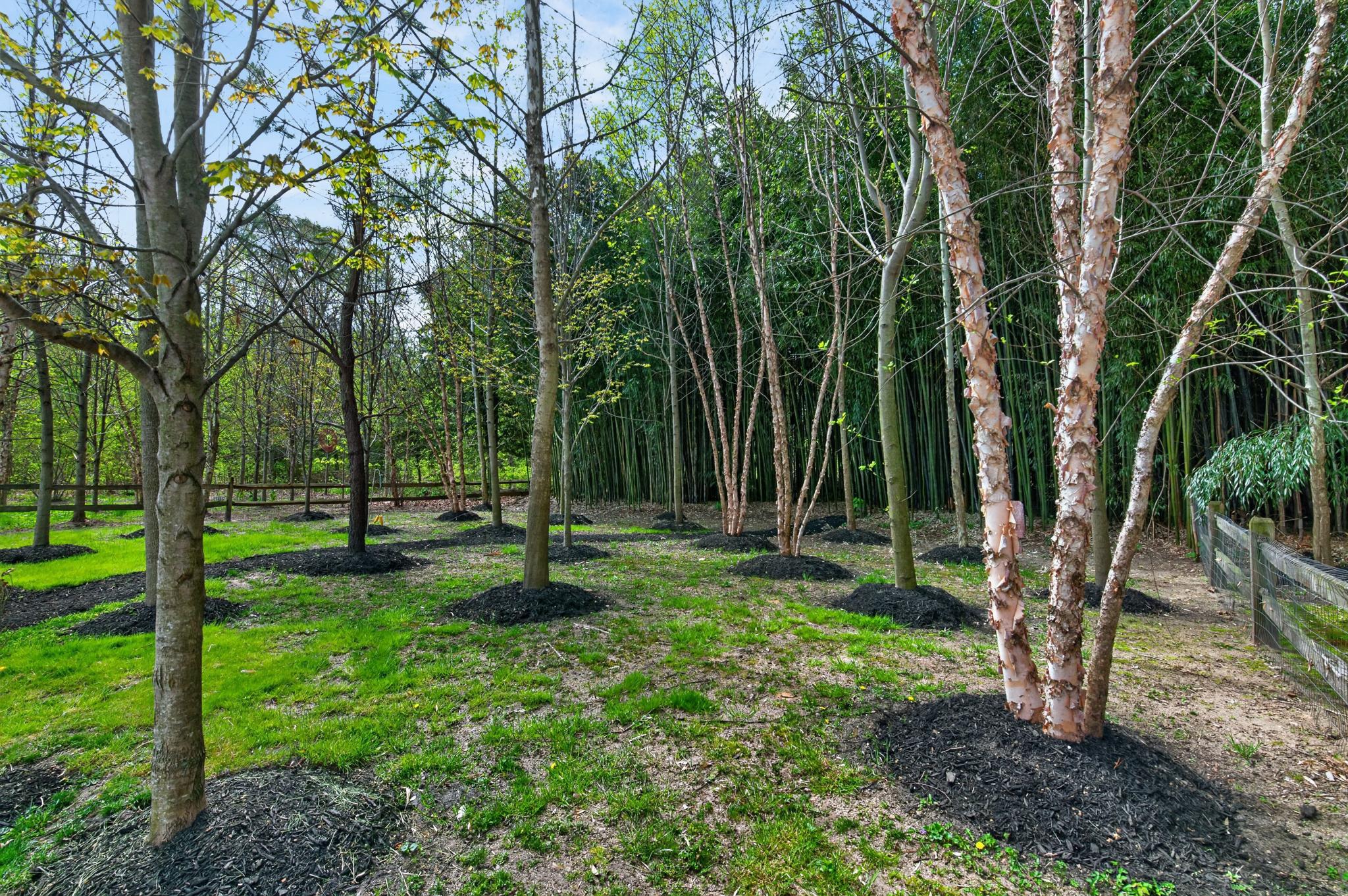  38 Kleis Road, Severna Park, MD, 21146 - 物件實景