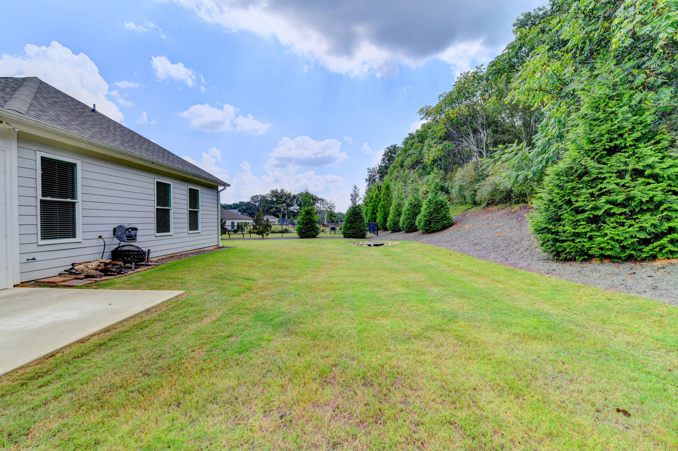  Active Adult Nearly-new Ranch Home in the Heart of Hickory Flat Area of Canton - 物件實景