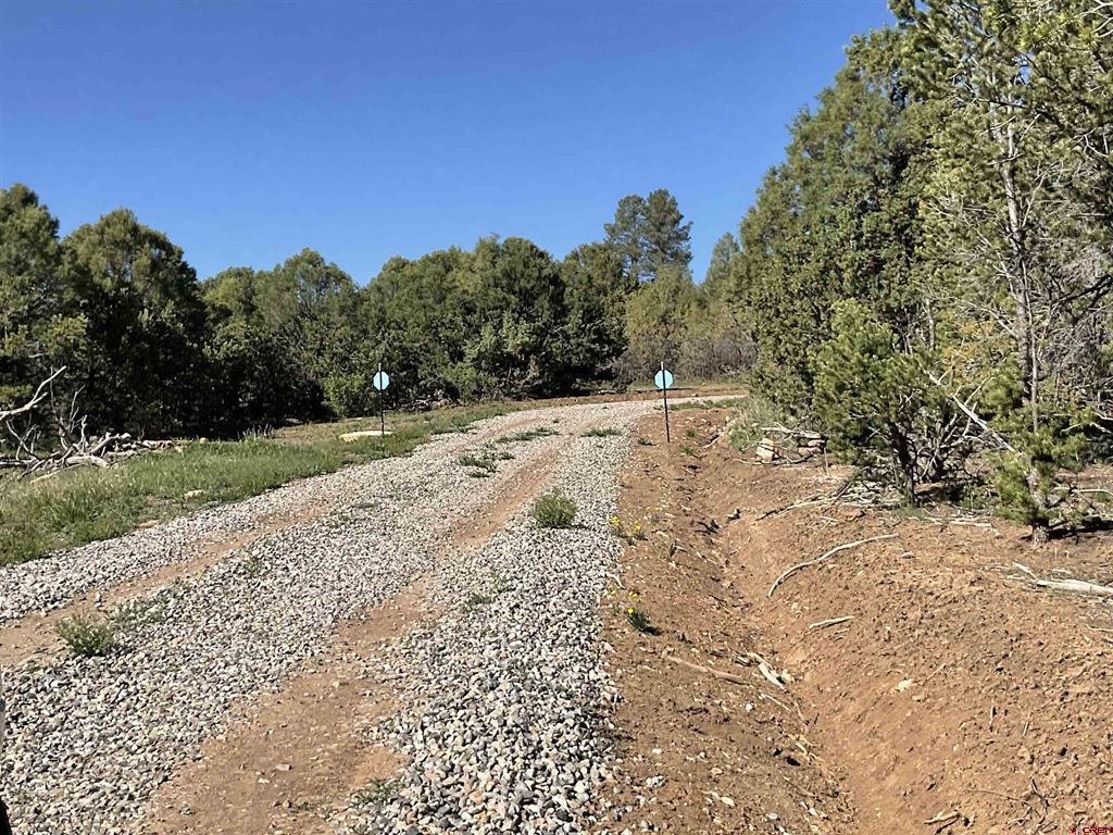 Montrose, Colorado, 81403, United States, ,Land,For Sale,1919926