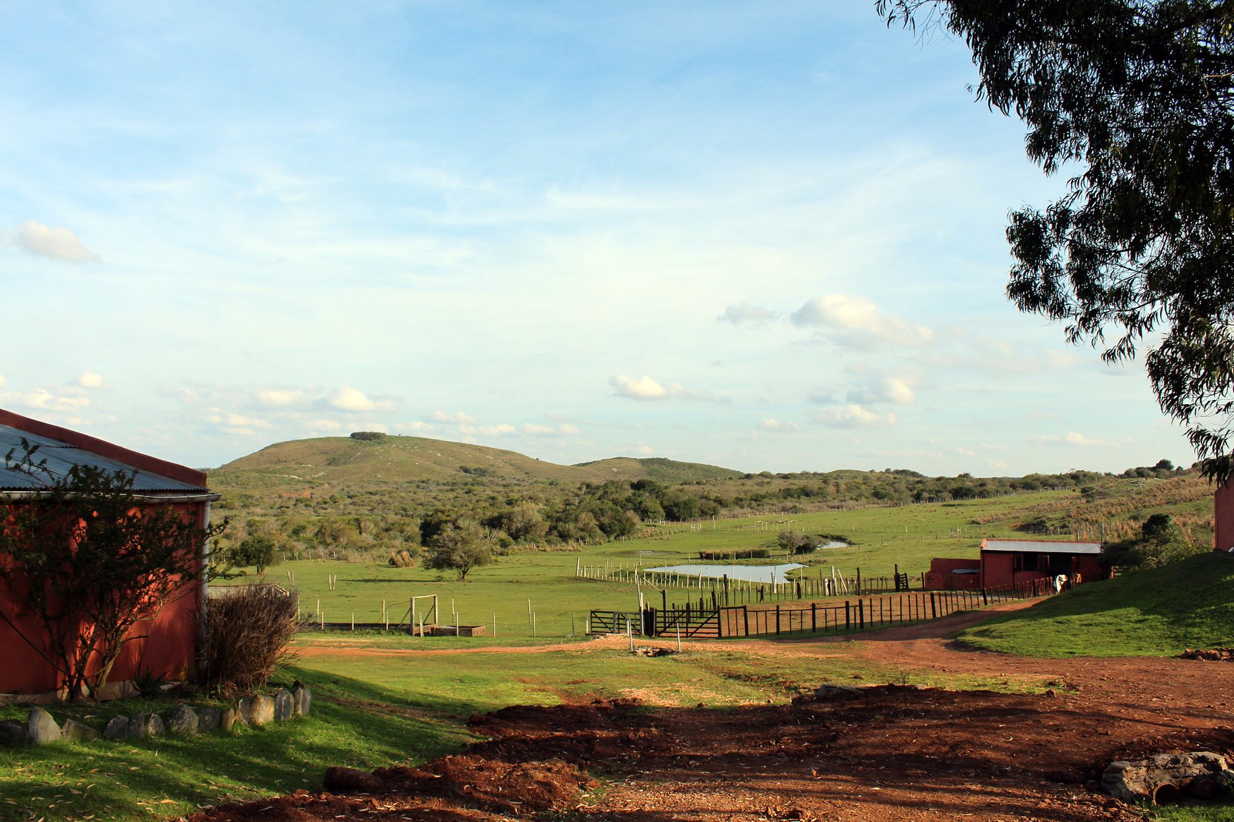  2577 acres Grand Hunting Estate - 物件實景