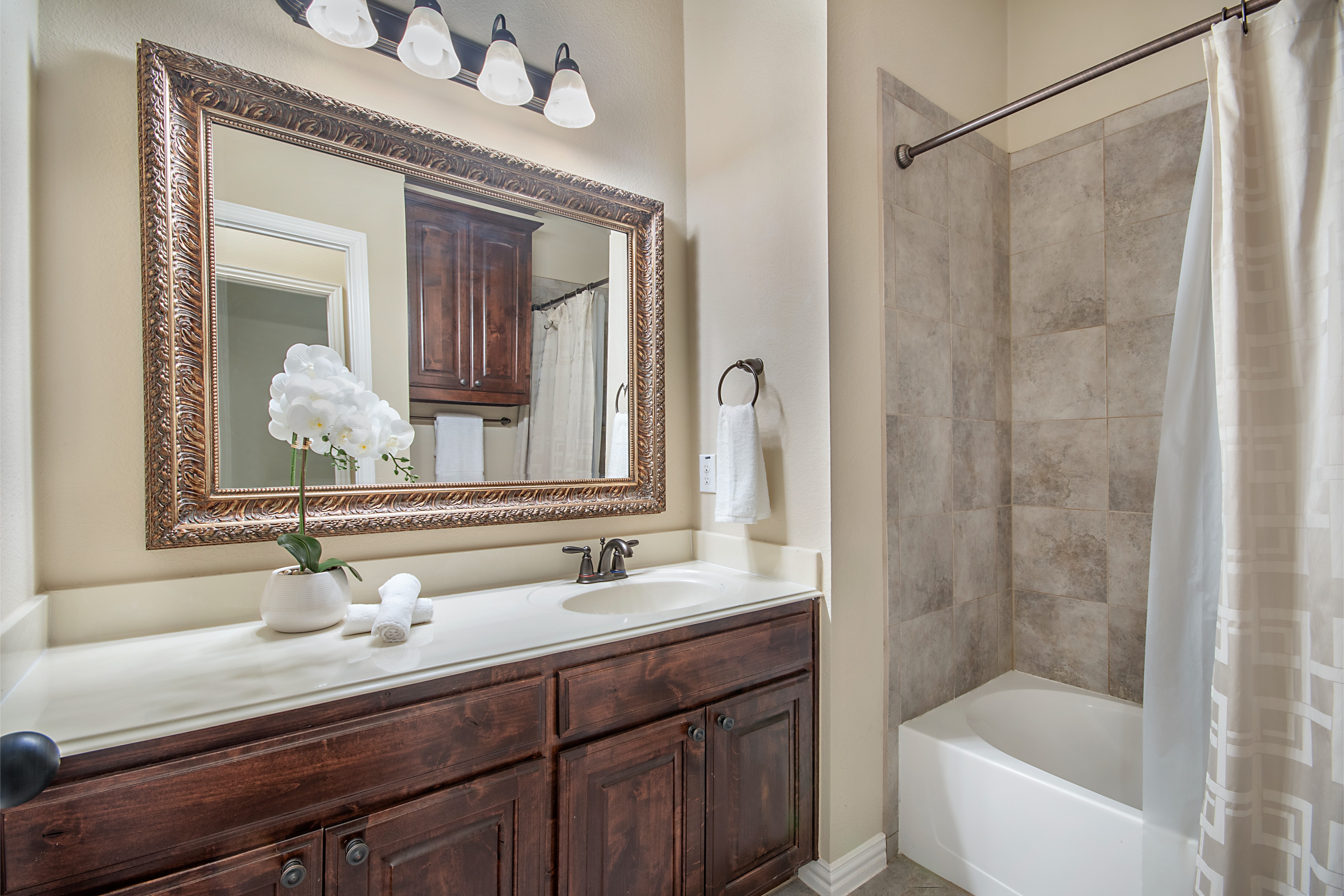  2461 Lakebend Drive, Little Elm, TX, 75068 - 物件實景