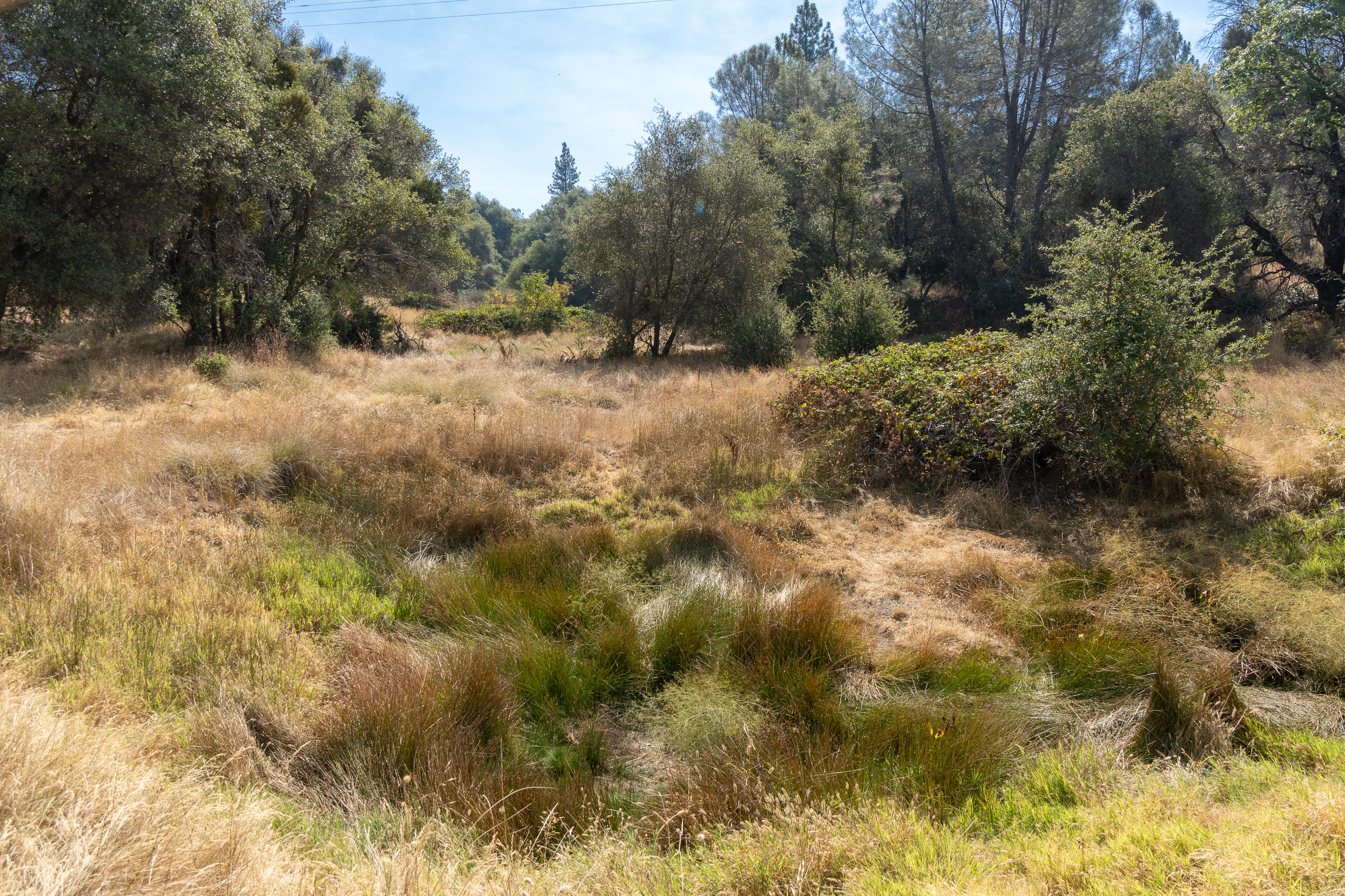  Historic Gold Rush-Era Ranch on 60 Acres in El Dorado County - 物件實景