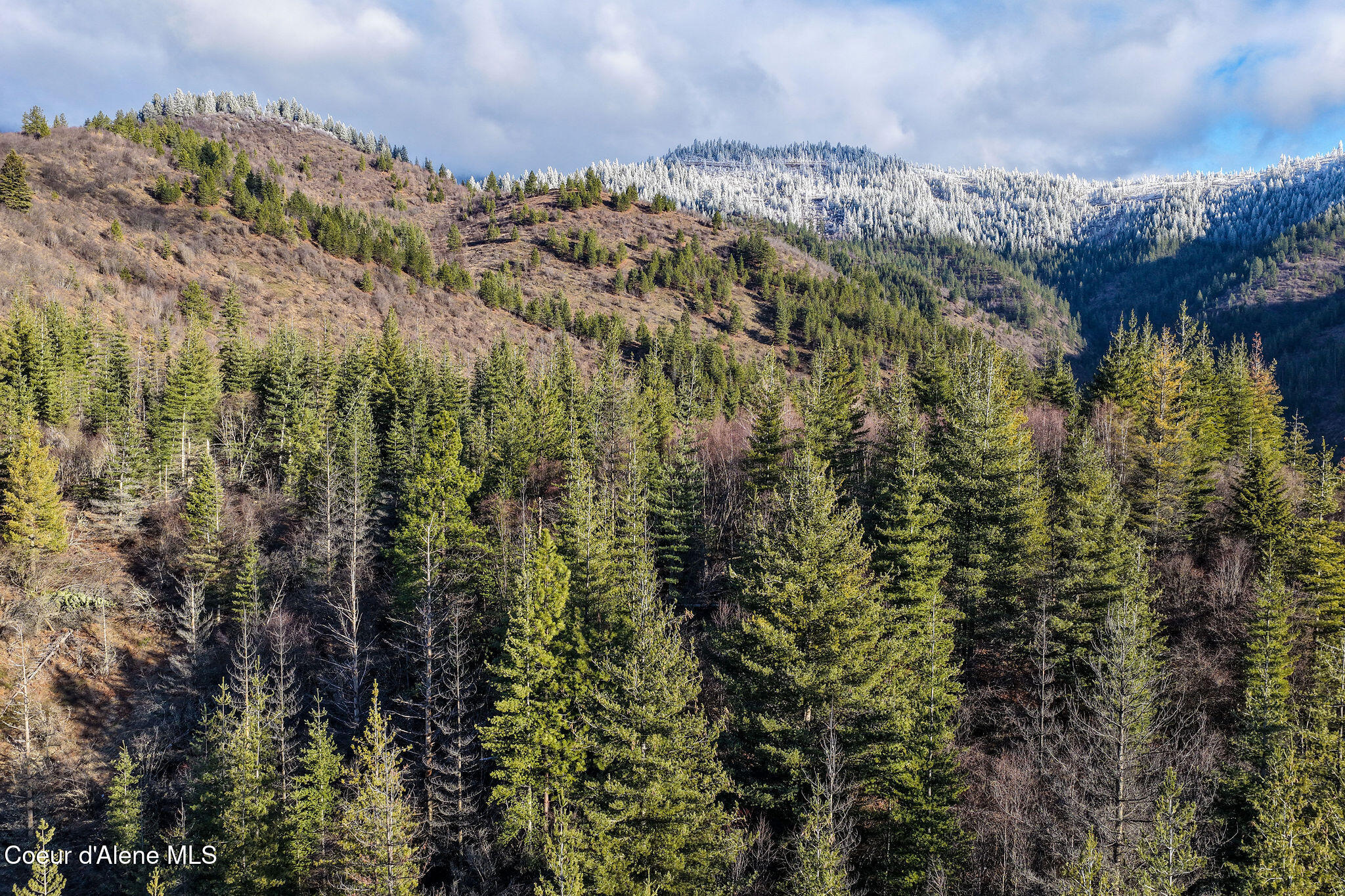 Kellogg, Idaho, 83837, United States, ,Land,For Sale,2012568