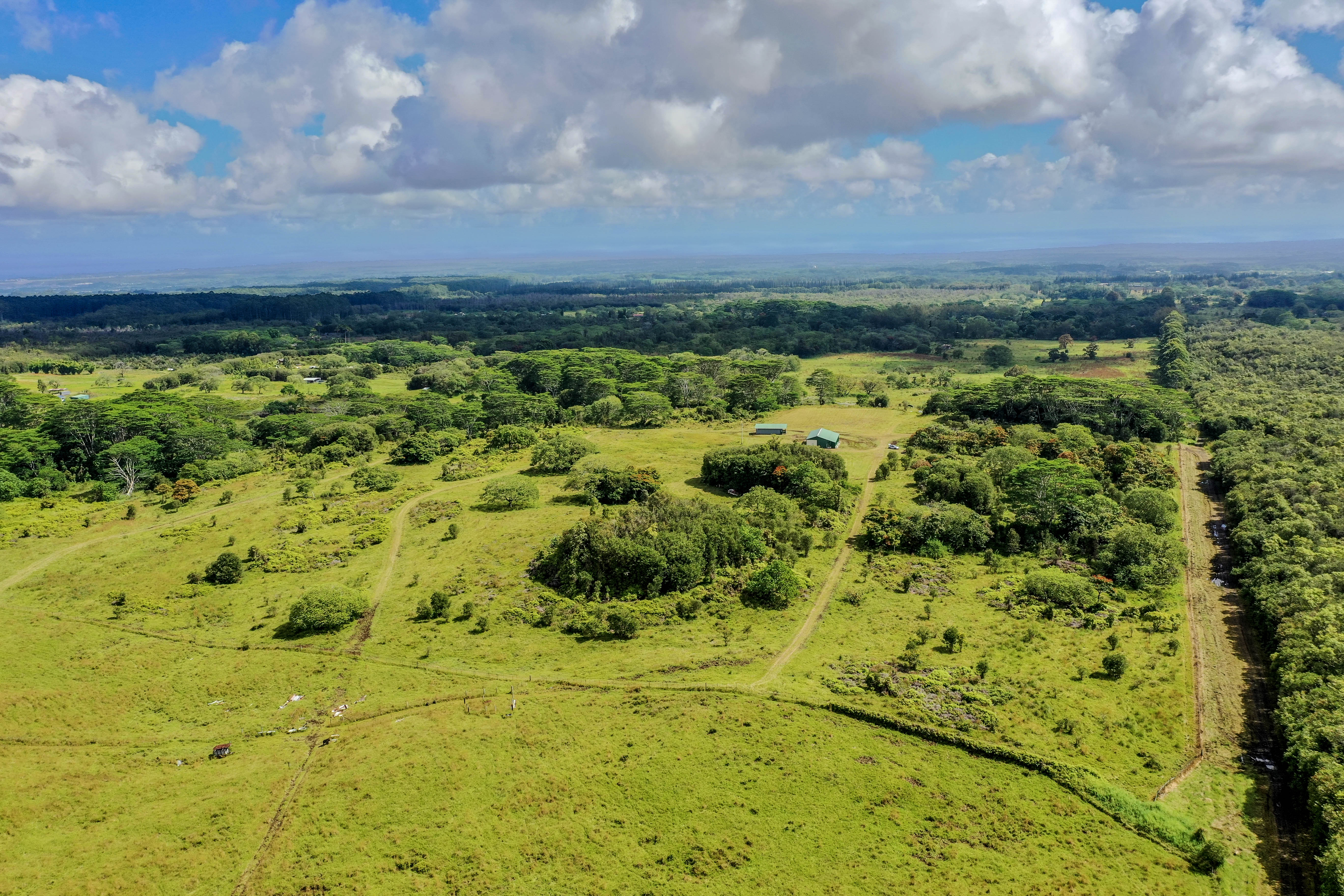  17-4870 South Rd, Kurtistown, HI, 96760 - 物件實景