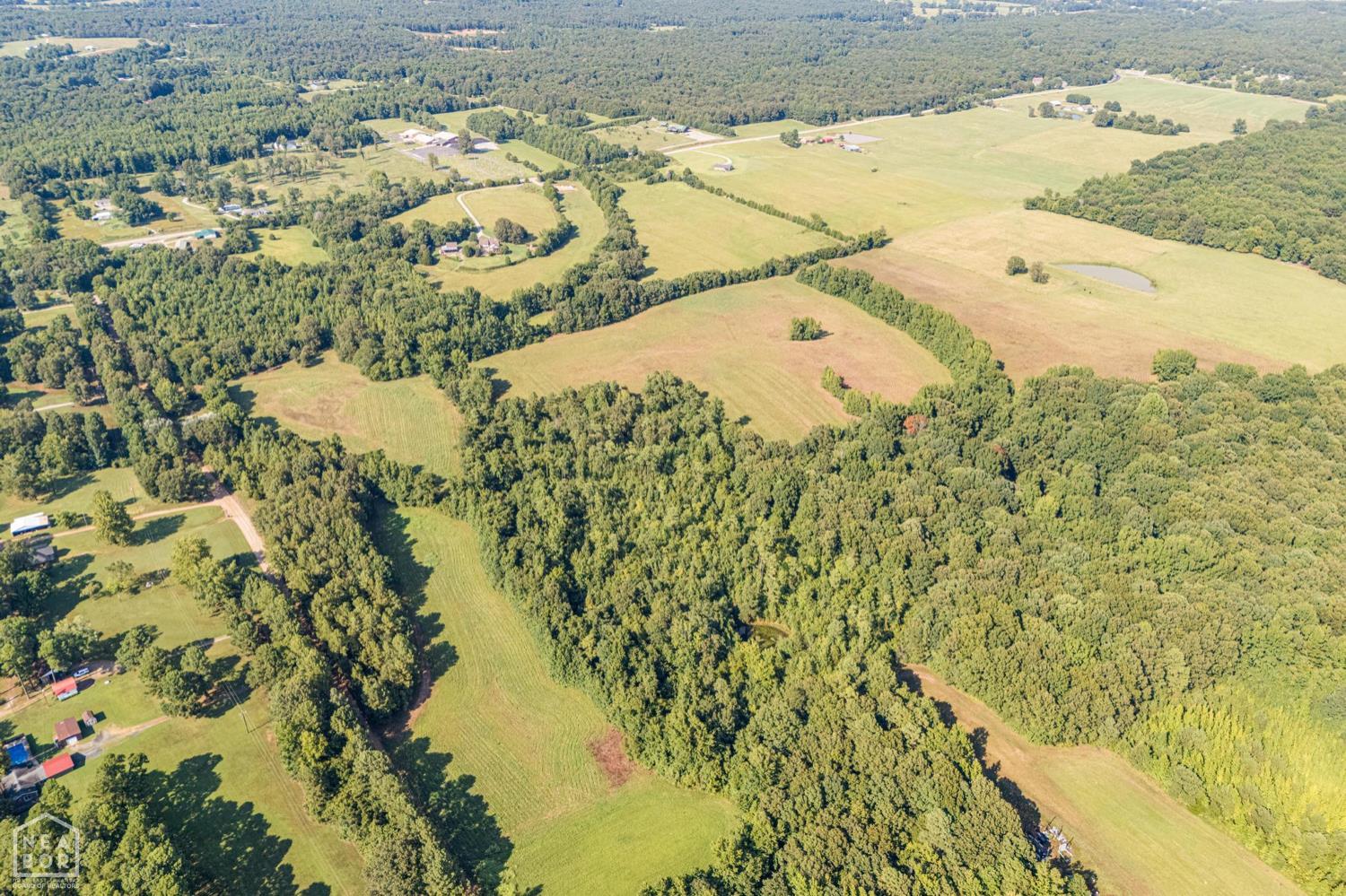 Paragould, Arkansas, 72450, United States, ,Residential,For Sale,1975234