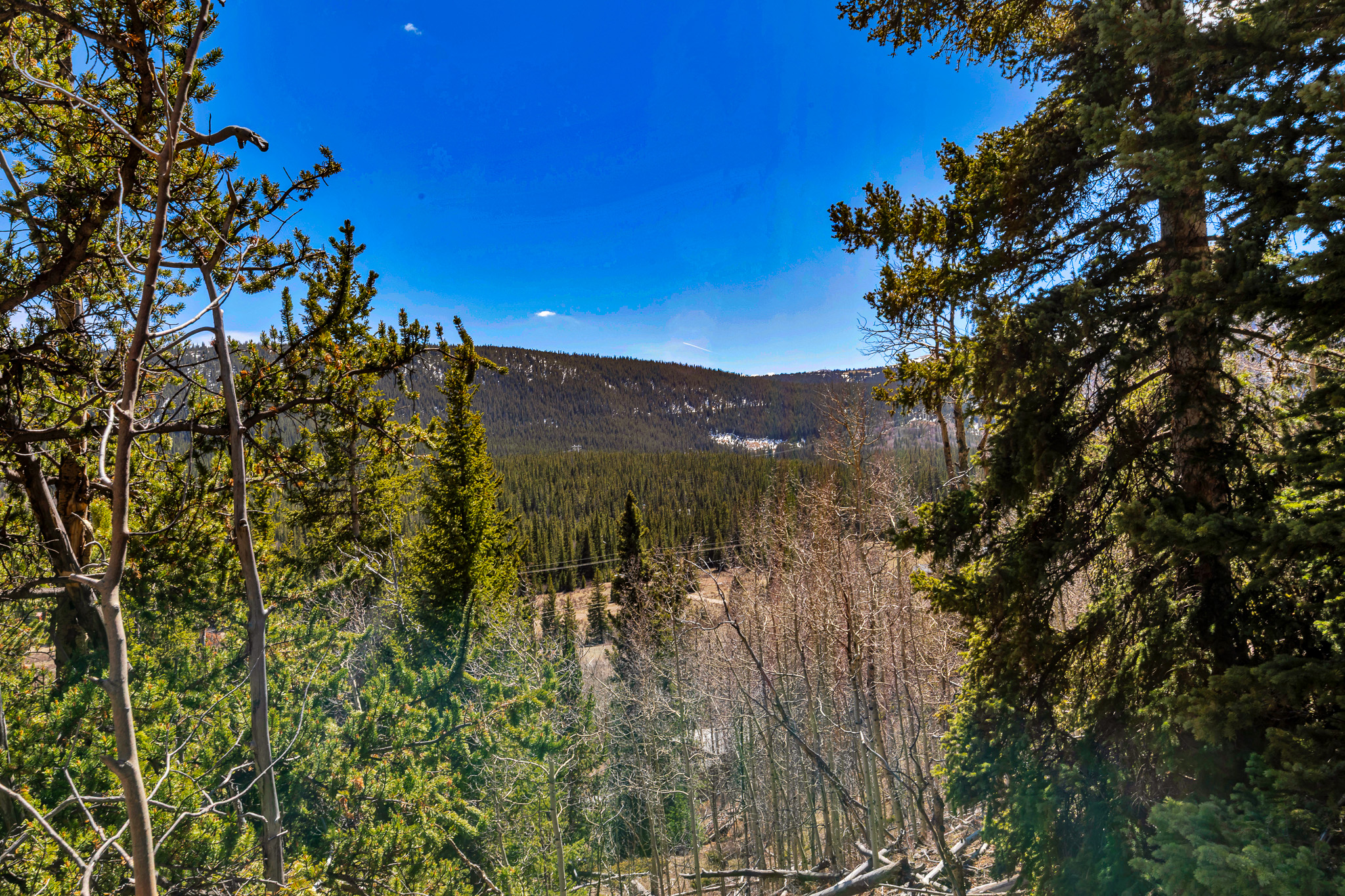  270 Co Rd 667, Alma, CO, 80440 - 物件實景