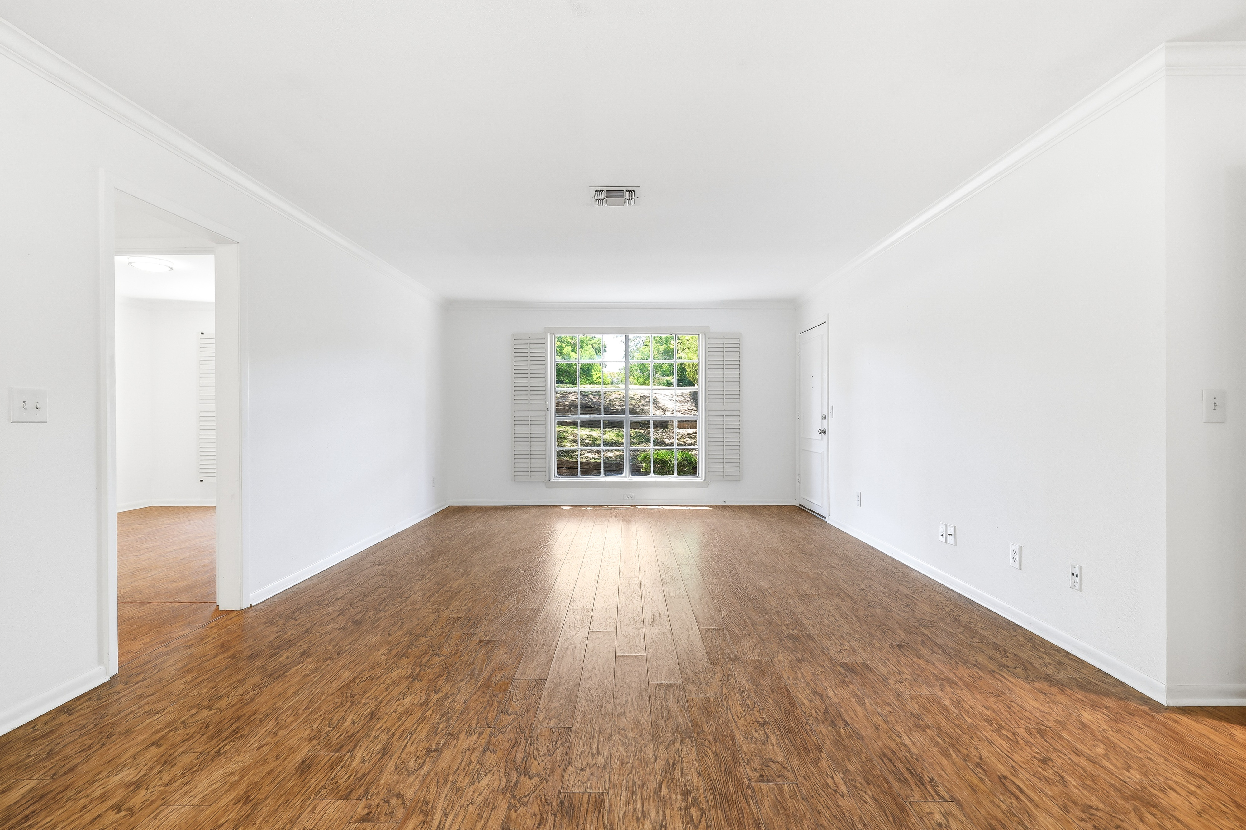  A Smart Buy in Alamo Heights - 物件實景