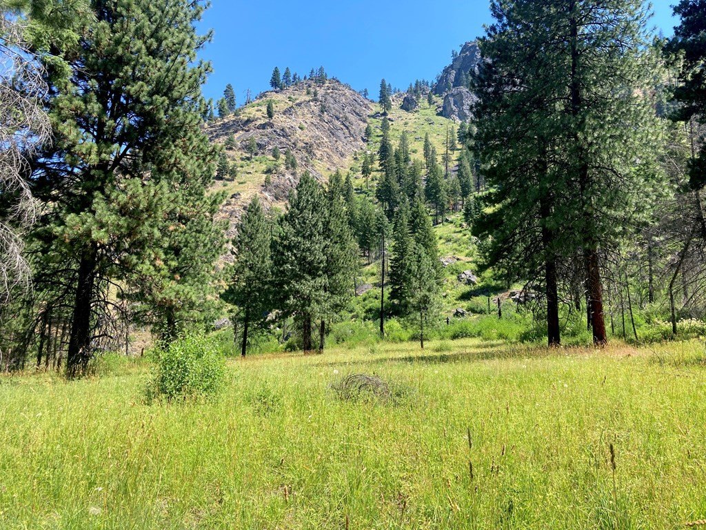 Riggins, Idaho, 83549, United States, 1 Bedroom Bedrooms, ,Residential,For Sale,1762926