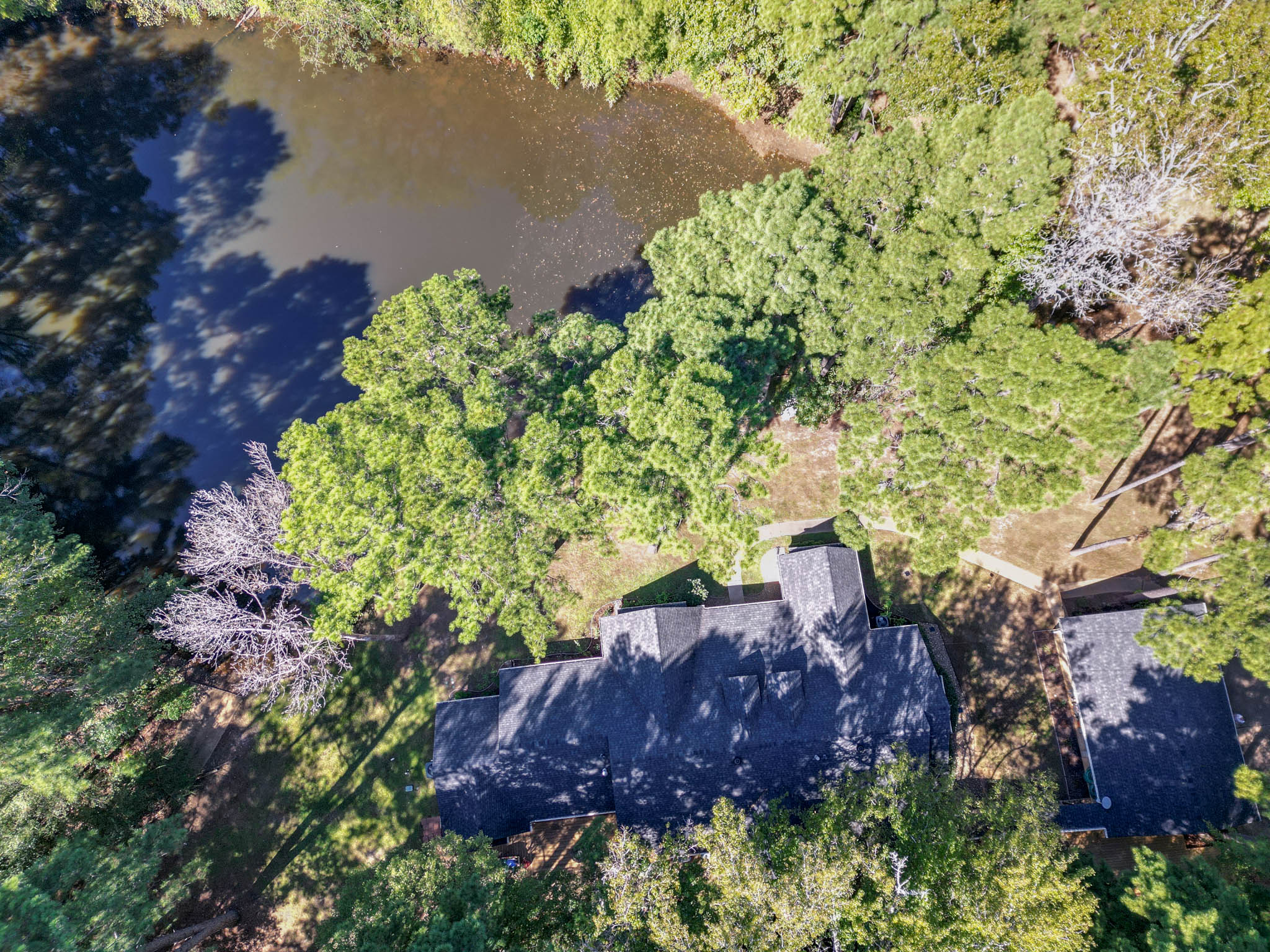Rusk, Texas, 75785, United States, 4 Bedrooms Bedrooms, ,4 BathroomsBathrooms,Residential,For Sale,1930164