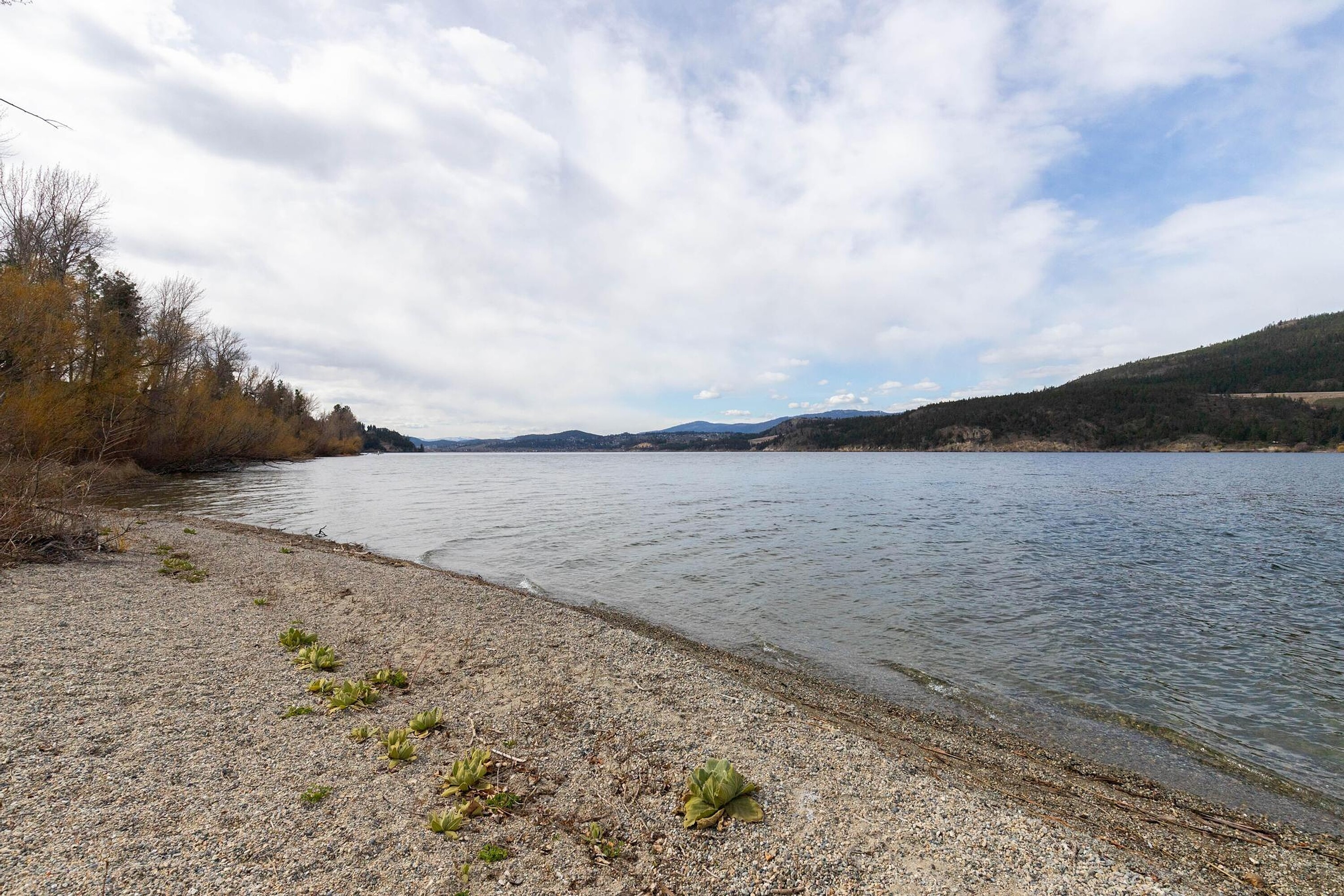  Lakeshore Oyama Lot - 物件實景