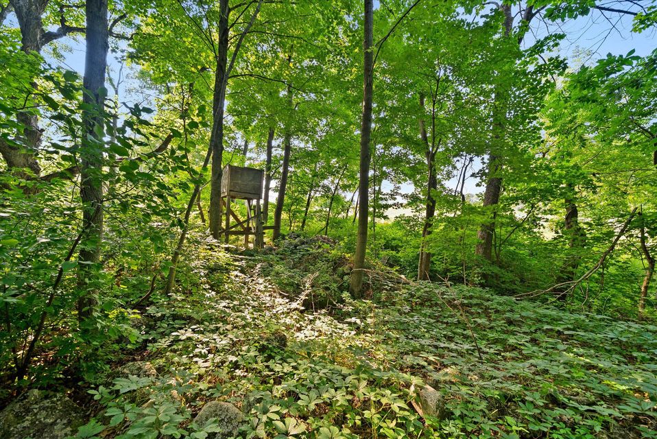 Rhine, Wisconsin, 53020, United States, ,Land,For Sale,1983397