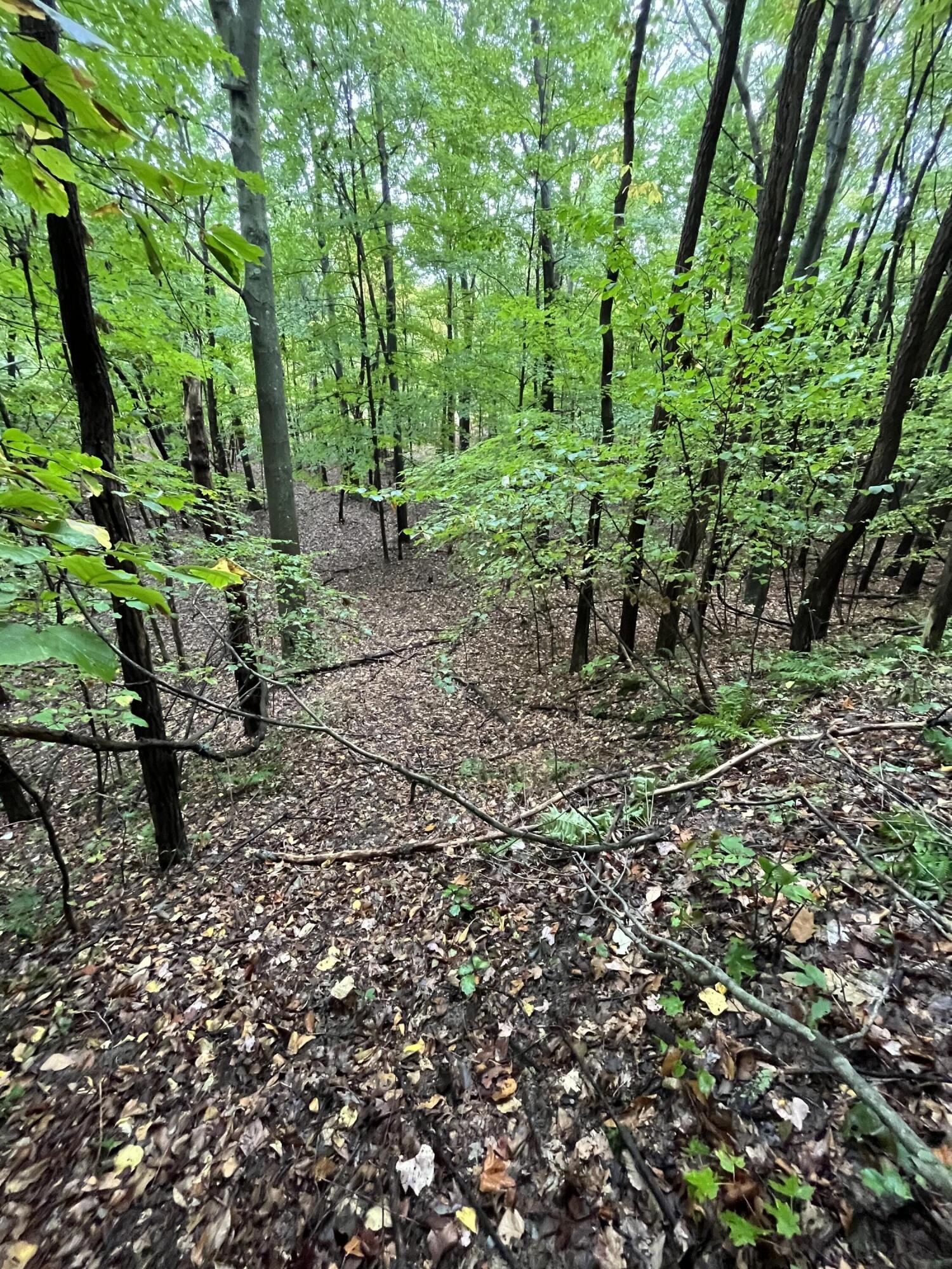 Holland, Michigan, 49423, United States, ,Land,For Sale,1984498