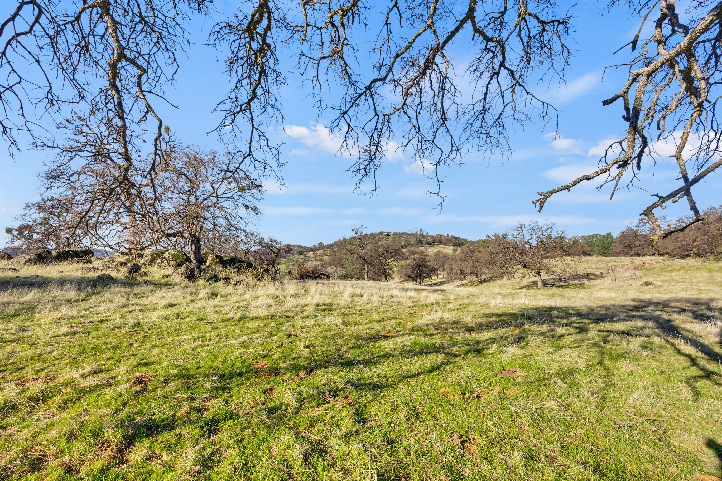  23443 Corino Way, Grass Valley, CA 95949 - 物件實景