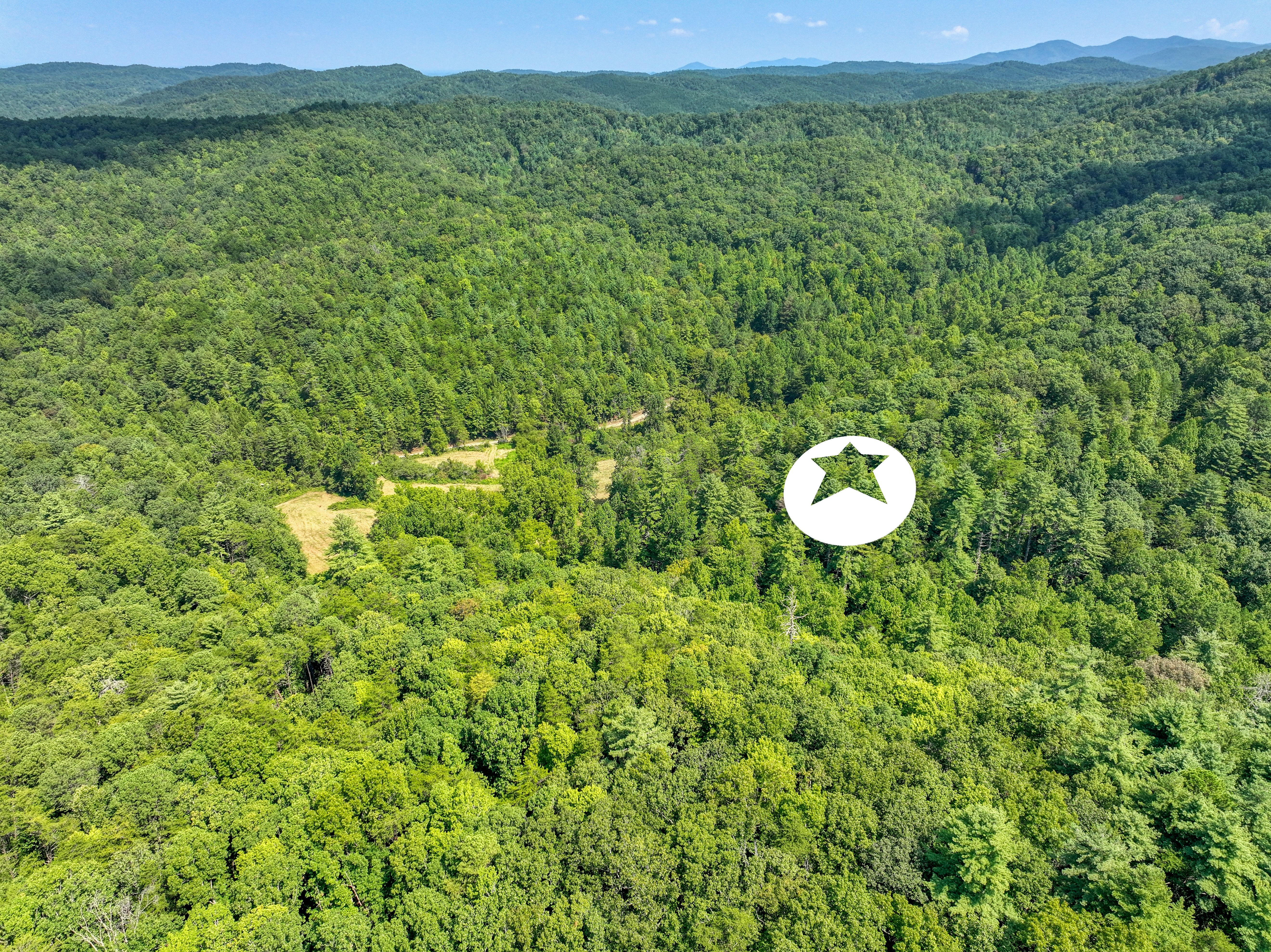  Belcher Loop, Tellico Plains, TN 37385 - 物件實景