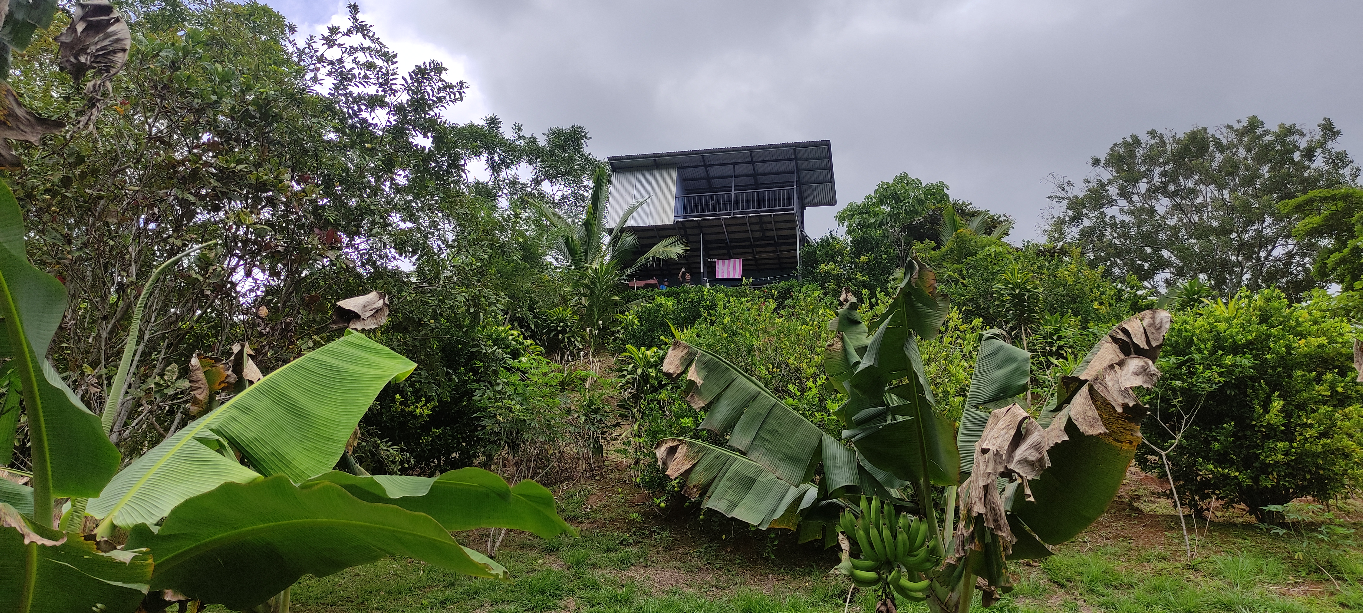 Puriscal, San Jose, CR, 6 Bedrooms Bedrooms, ,7 BathroomsBathrooms,Residential,For Sale,1612252