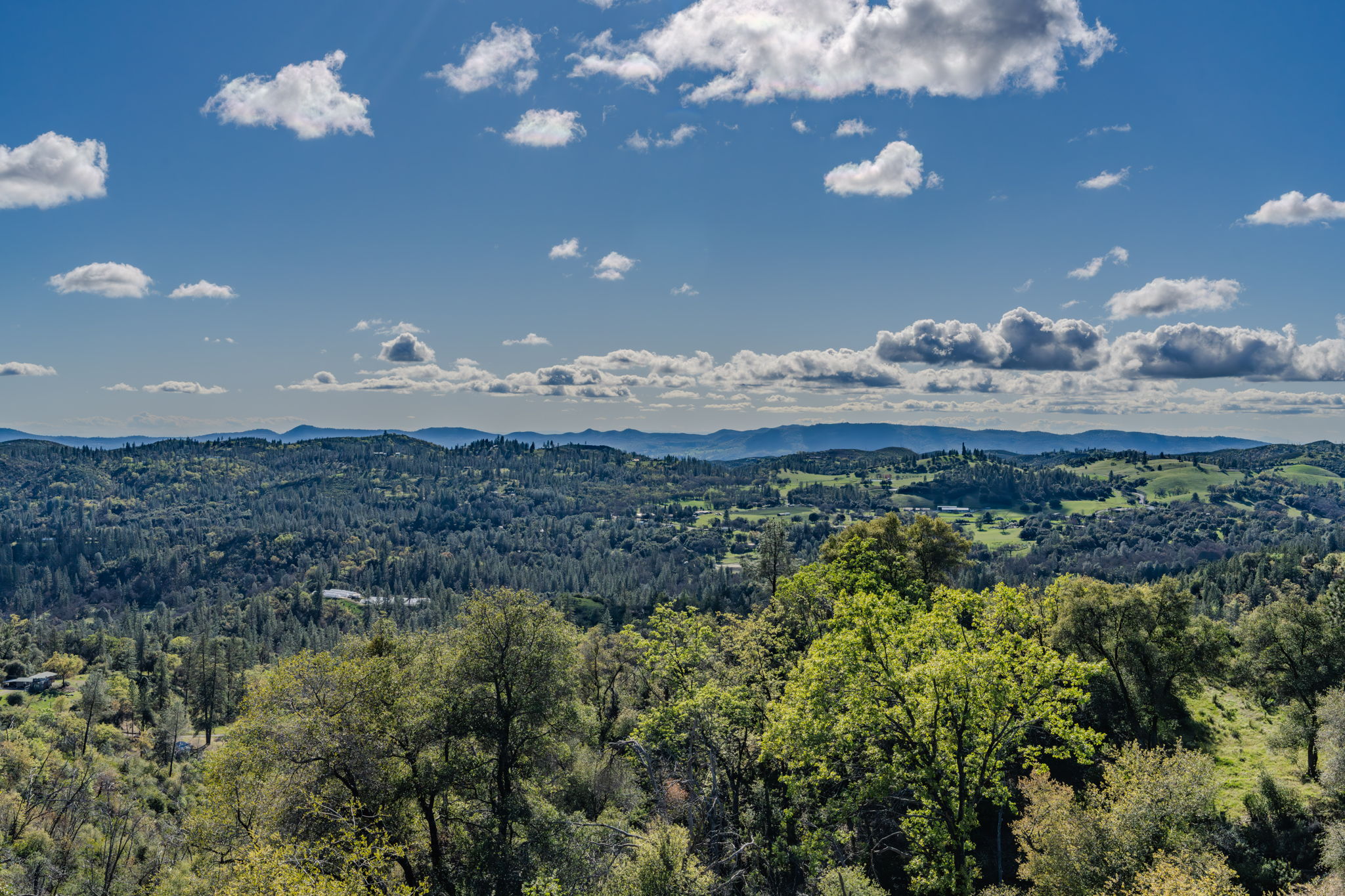  9515 Ham Luddy Road, Mountain Ranch, CA 95246 - 物件實景