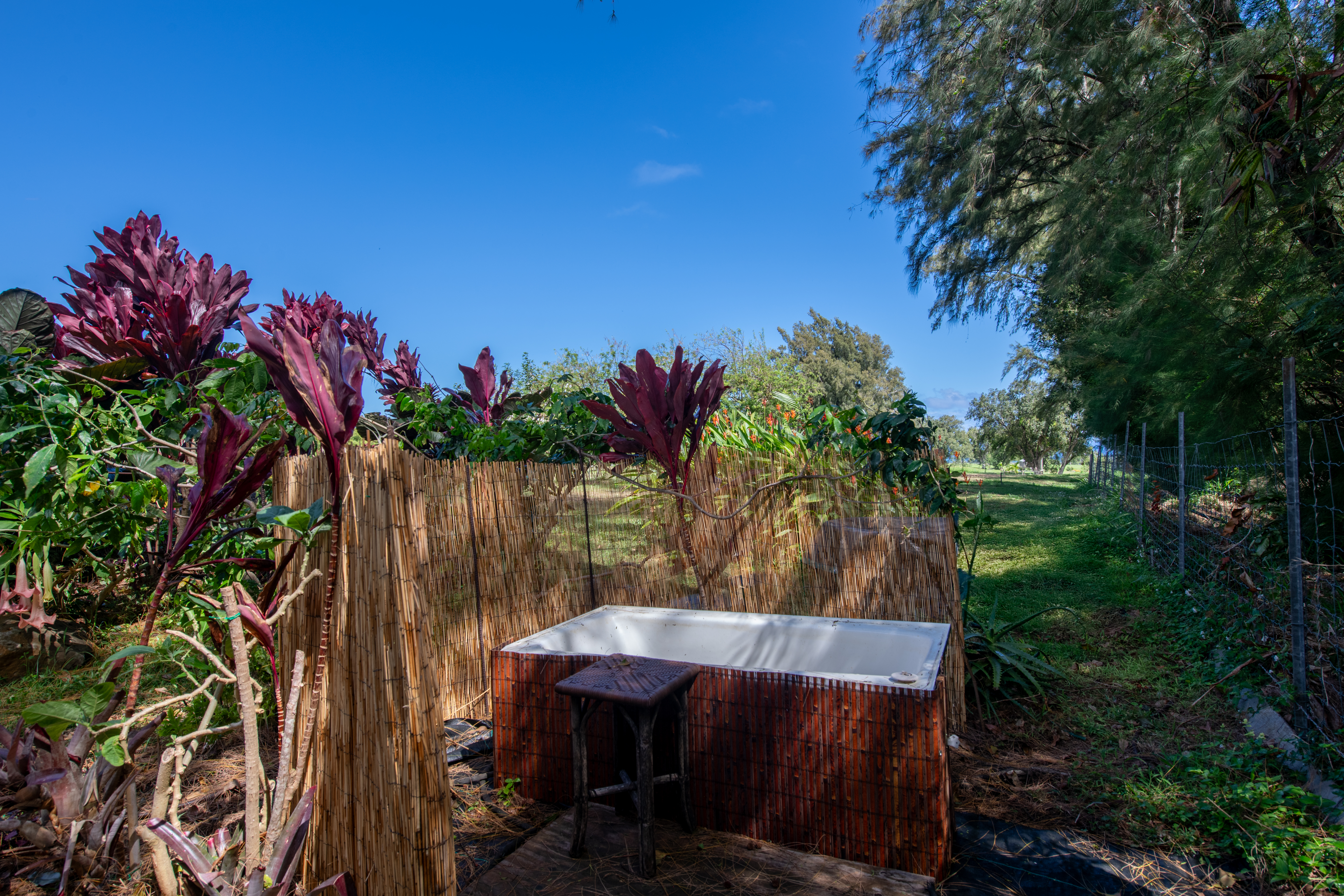  53-4223 Pratt Road, Kapaau, HI 96755 - 物件實景