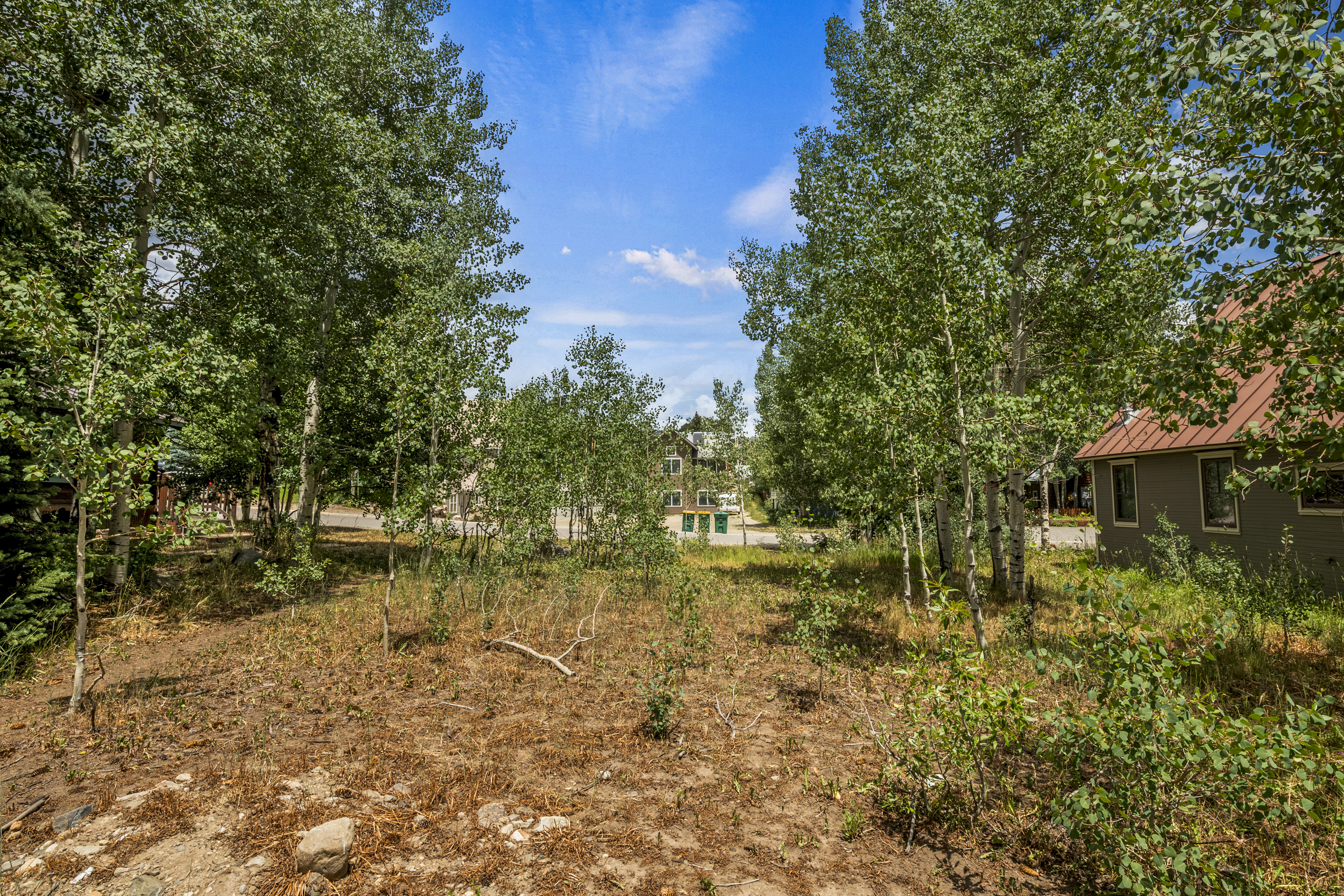  Fast-Track Build Opportunity in Crested Butte - 物件實景