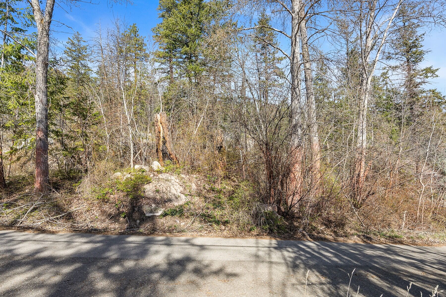  Opportunity in Vernon - 物件實景