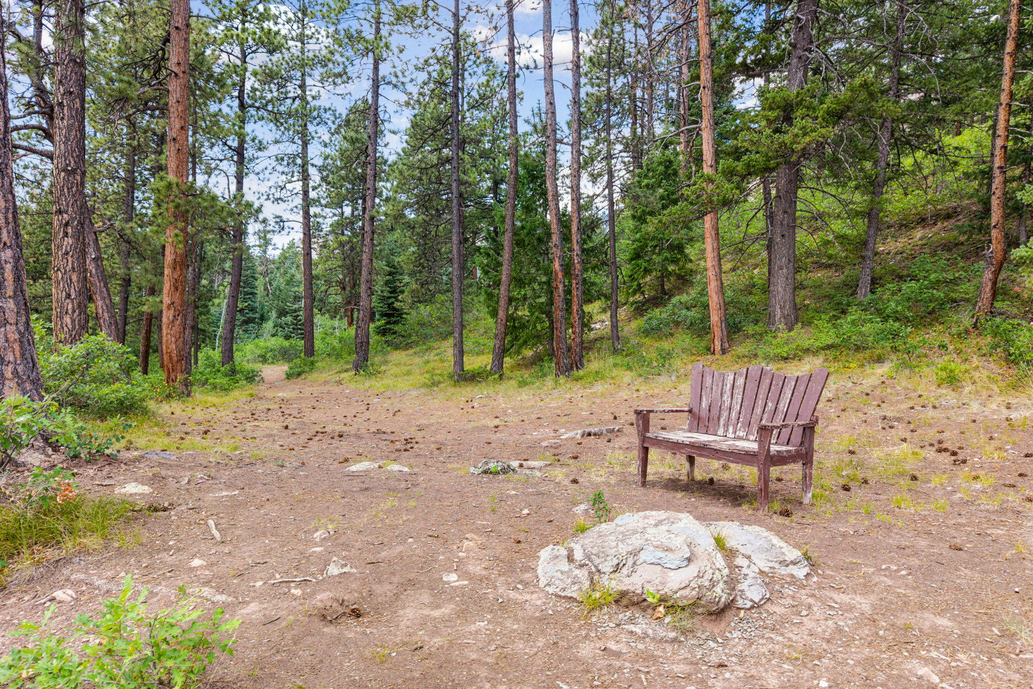 TBD East Spruce Mesa Drive, Durango, CO 81301 - 物件實景