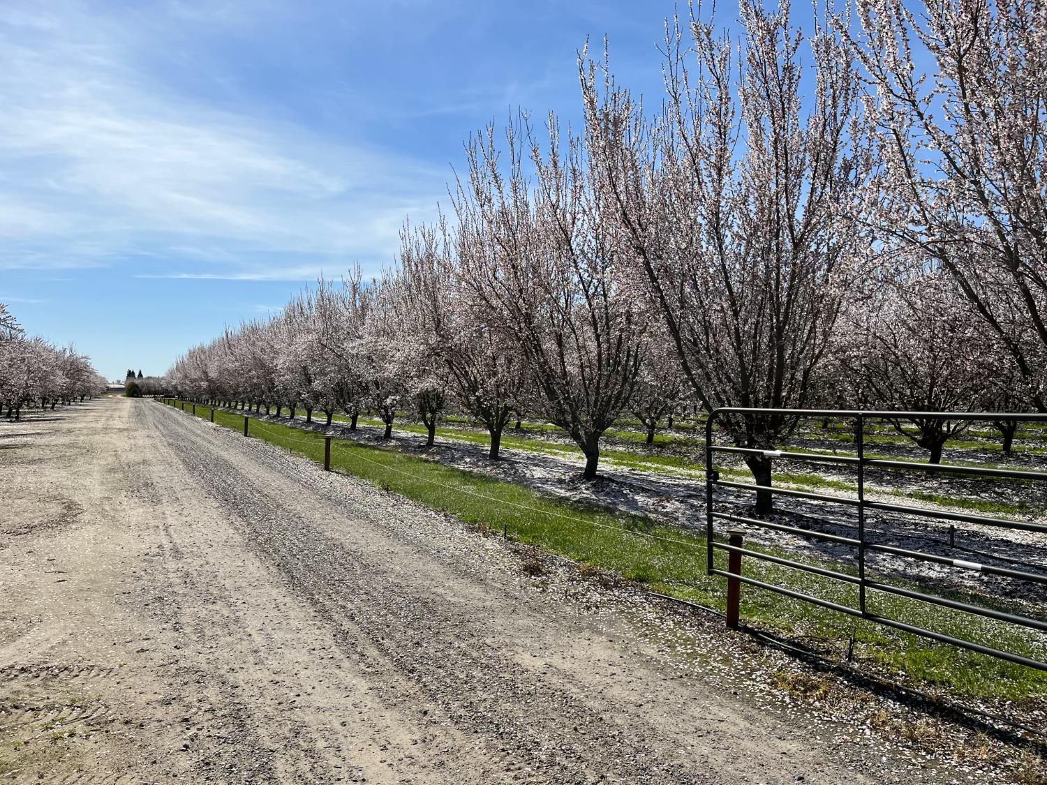 Delhi, California, 95315, United States, 3 Bedrooms Bedrooms, ,4 BathroomsBathrooms,Residential,For Sale,1975703