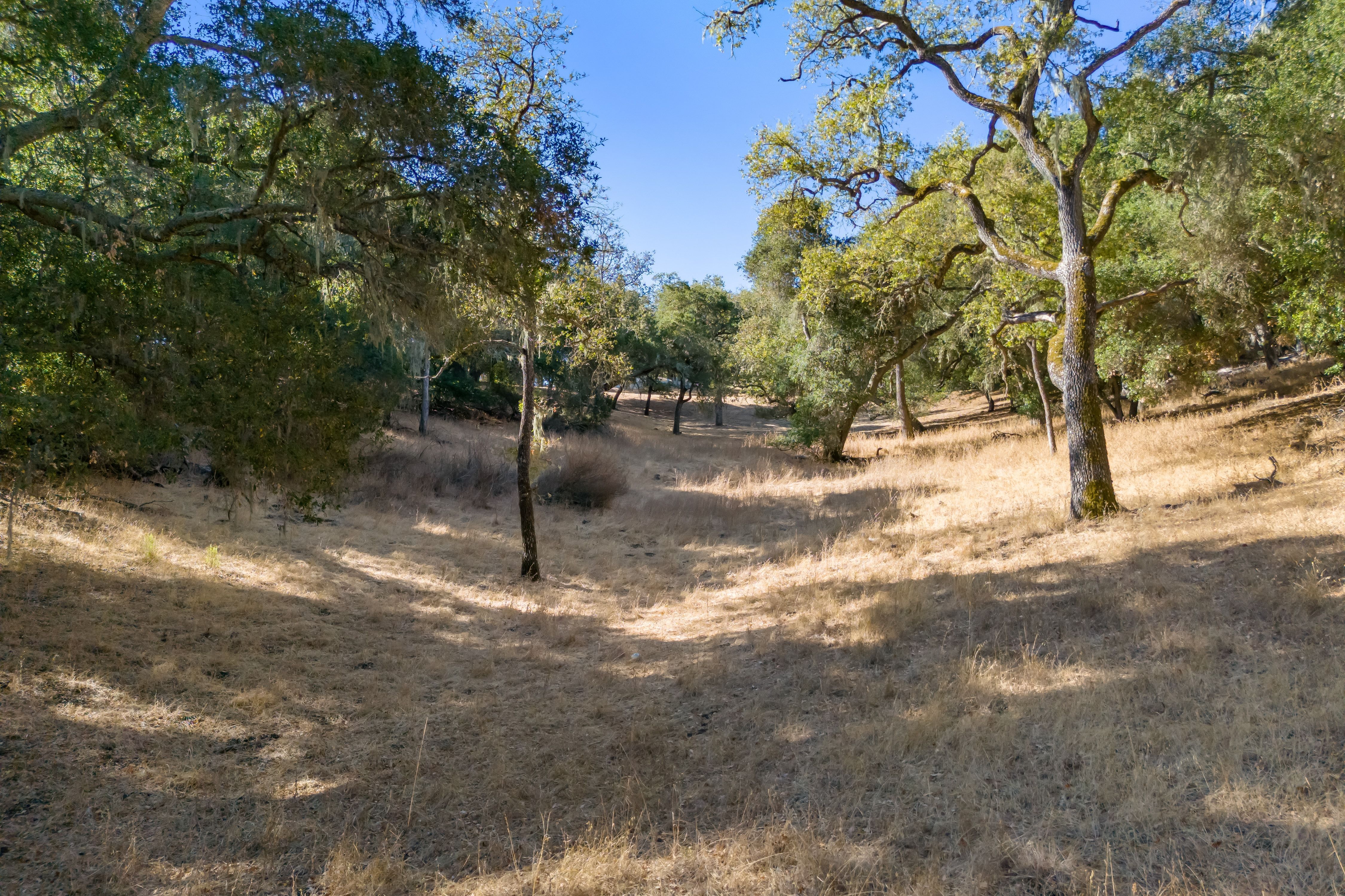  A Private Retreat Among the Oaks - 物件實景