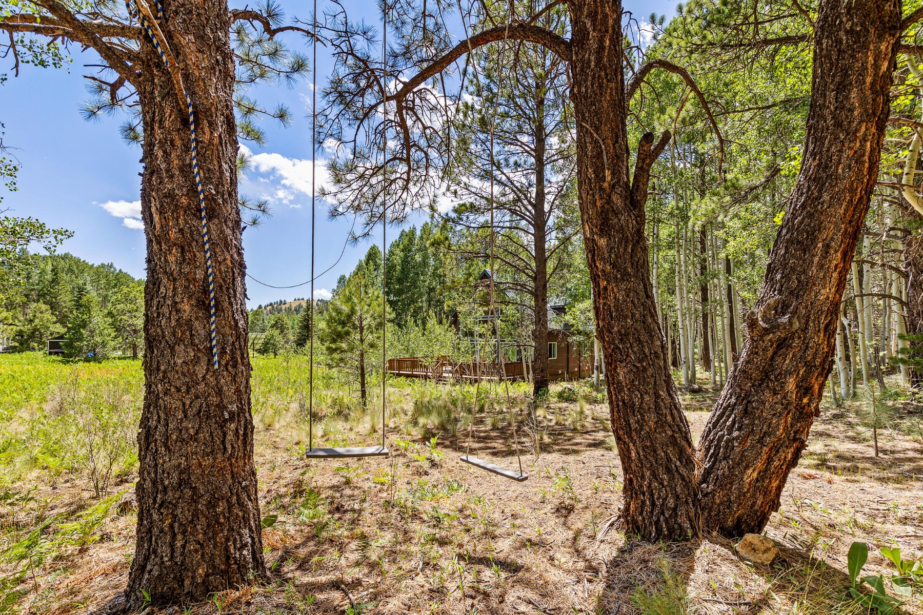  17787 N Forest Service 9004t Road ¦ Flagstaff, AZ - 物件實景