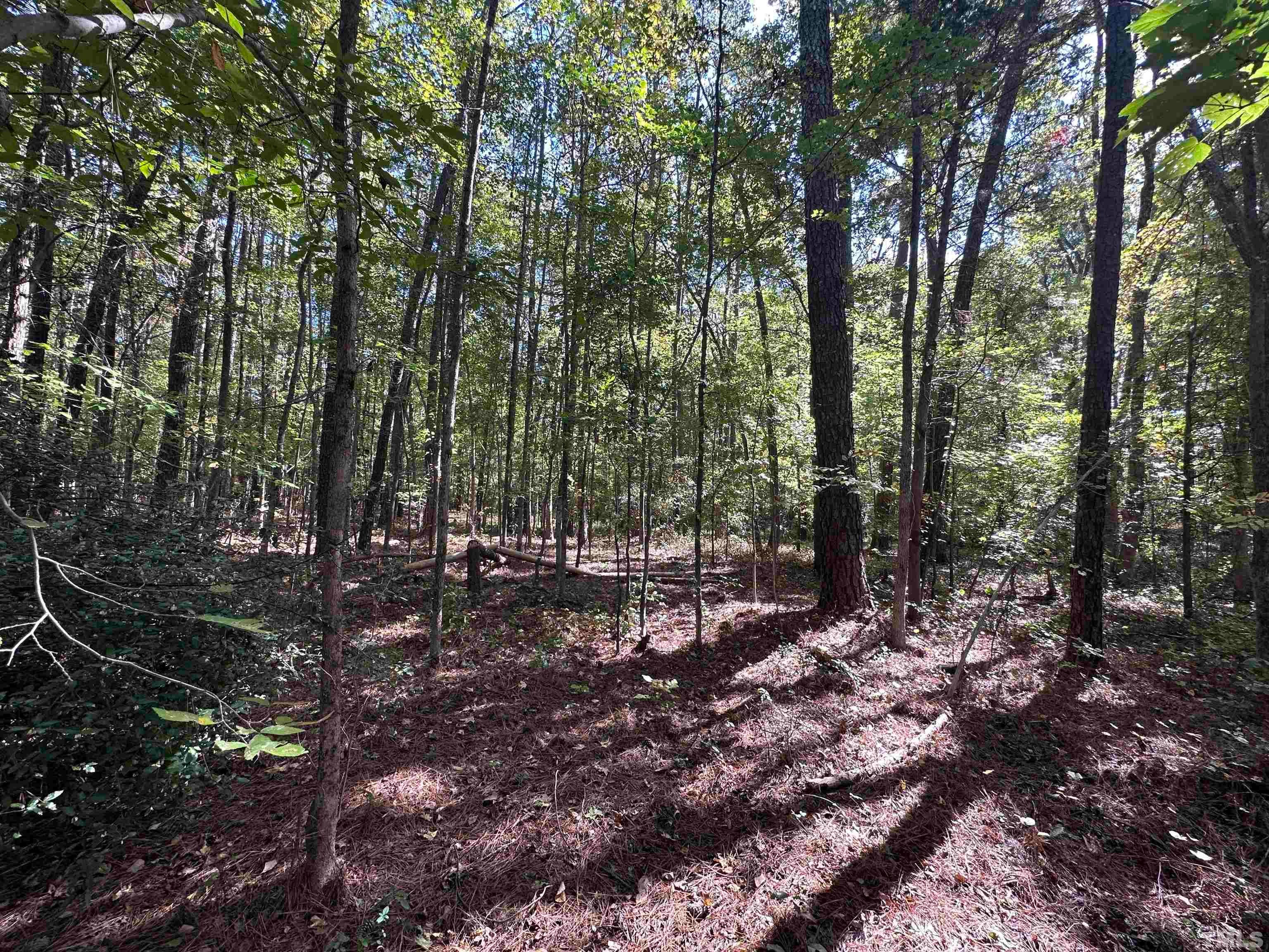 8017 Farrington Mill Road, Chapel Hill, North Carolina, 27517, United States, ,Land,For Sale,8017 Farrington Mill Road,1623508