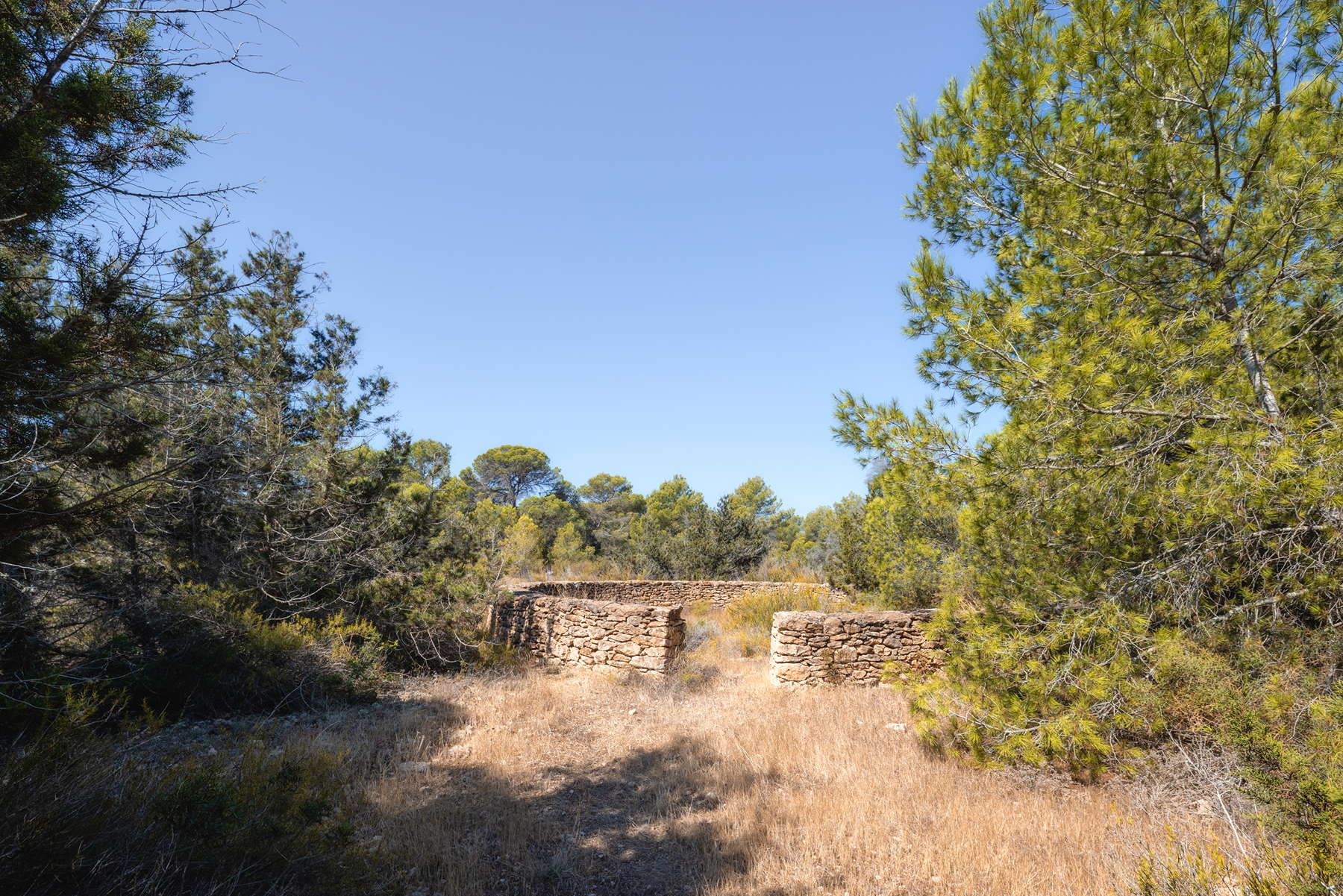  Country house to renovate in Formentera - 物件實景