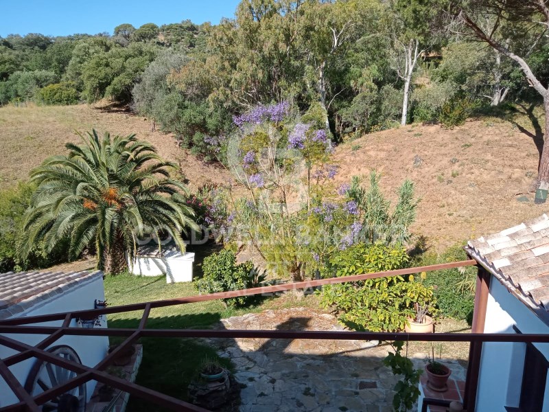 Casares, Andalusia, ES, 4 Bedrooms Bedrooms, ,2 BathroomsBathrooms,Residential,For Sale,1874856