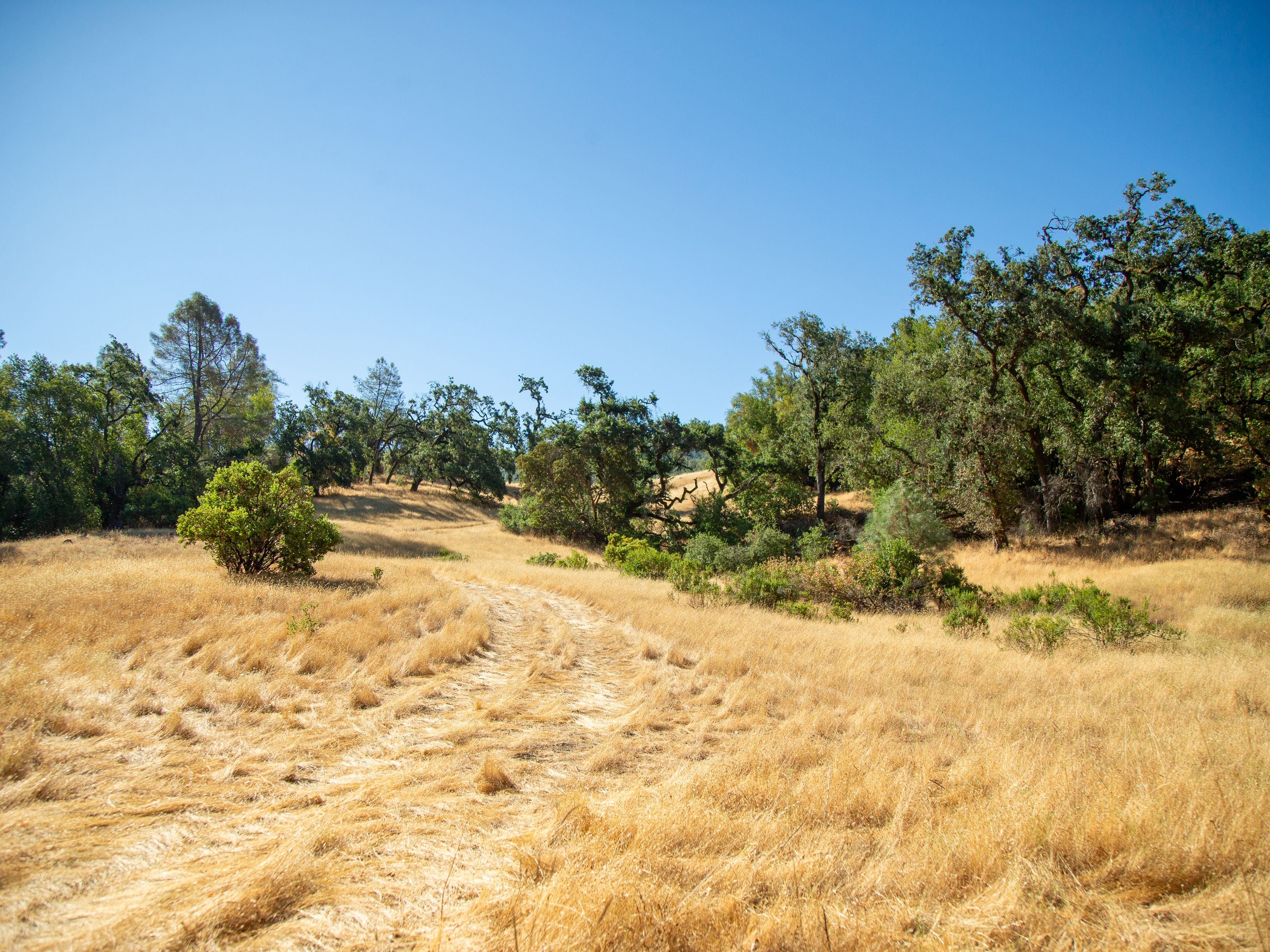  Very Rare Opportunity Alexander Valley Ranch - 物件實景