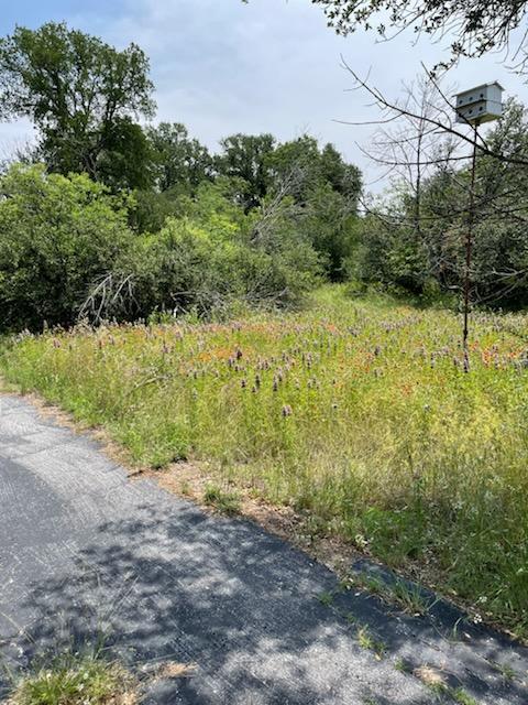 Fort Worth, Texas, 76179, United States, 4 Bedrooms Bedrooms, ,2 BathroomsBathrooms,Residential,For Sale,1993877