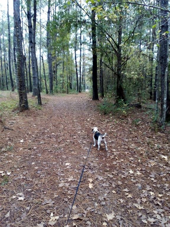 Bush, Louisiana, 70431, United States, ,Land,For Sale,1987560