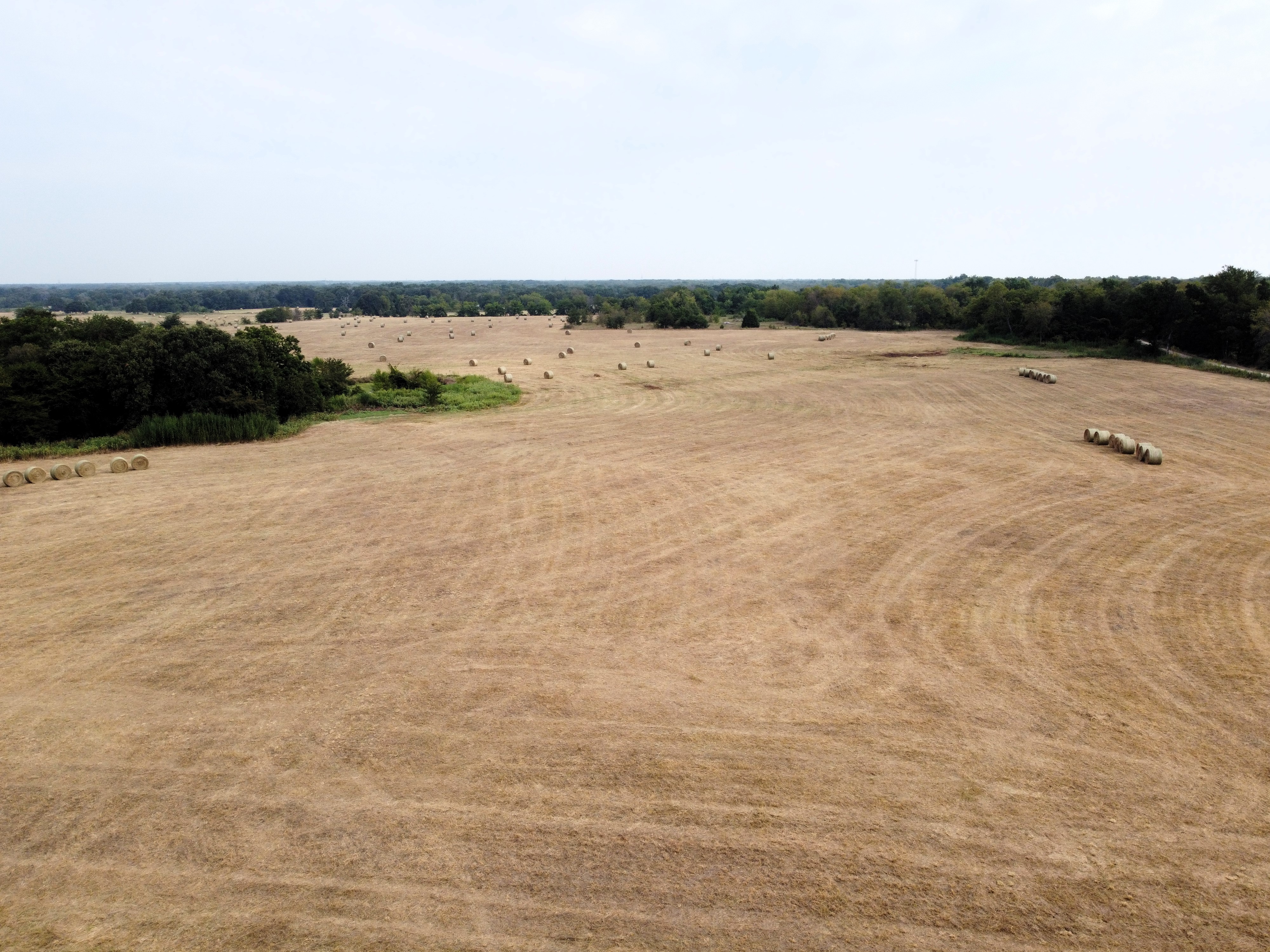 Cumby, Texas, 75433, United States, ,Land,For Sale,1987346