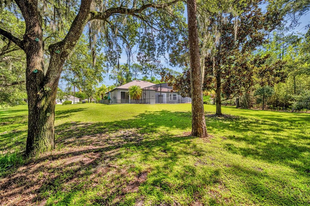Orlando, Florida, 32832, United States, 4 Bedrooms Bedrooms, ,4 BathroomsBathrooms,Residential,For Sale,1901368