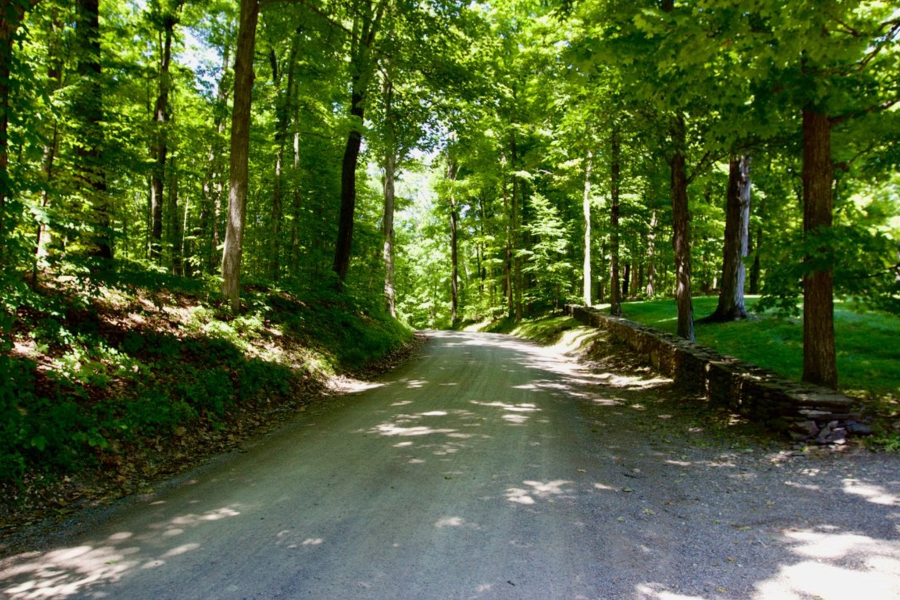  0 Rowe Road, Milan, NY 12571 - 物件實景