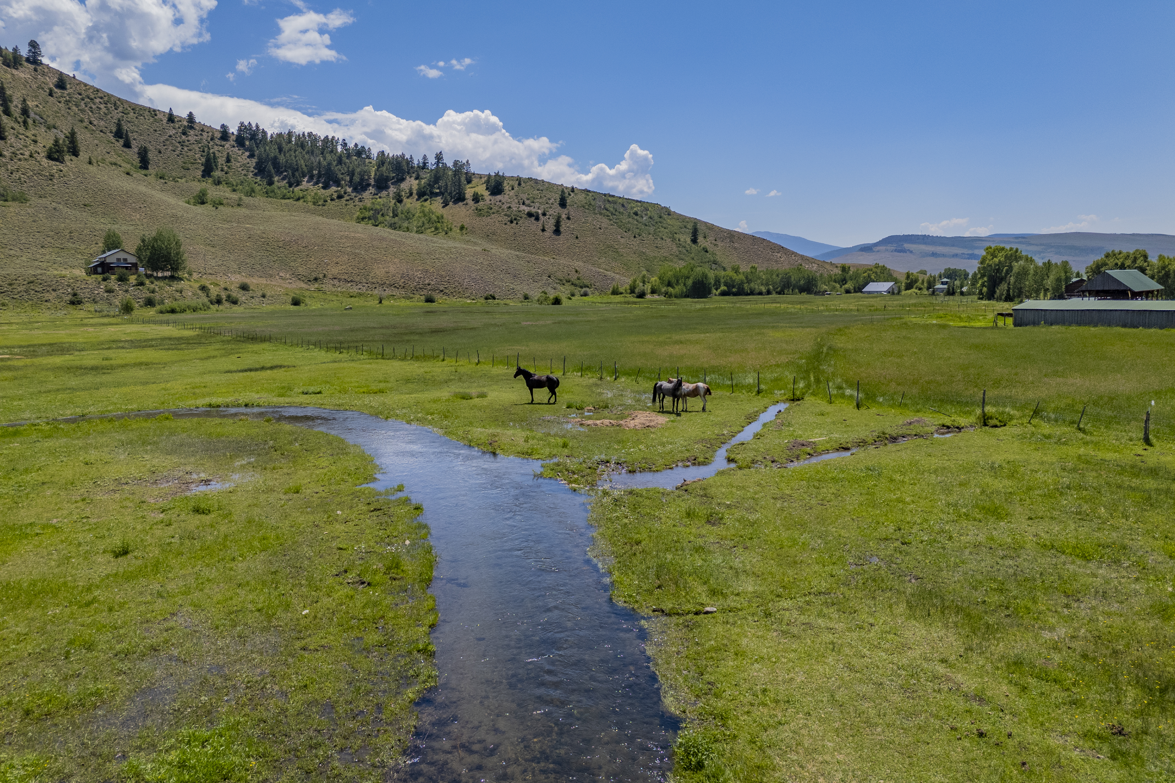  Your Colorado Dream 35 Scenic Acres with Mountain Views - 物件實景