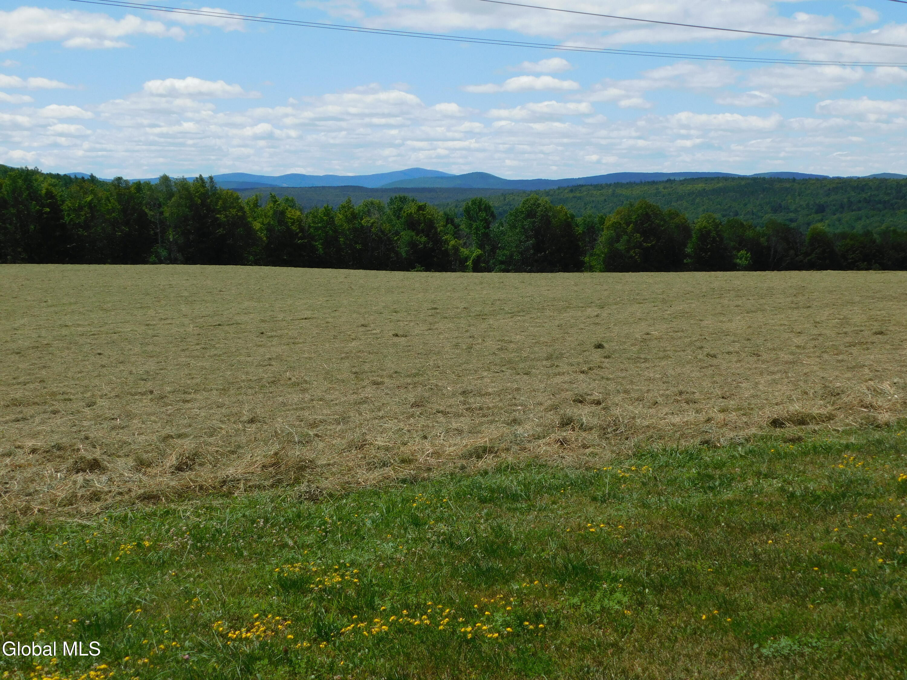 Broome, New York, 12122, United States, 4 Bedrooms Bedrooms, ,3 BathroomsBathrooms,Residential,For Sale,1928748