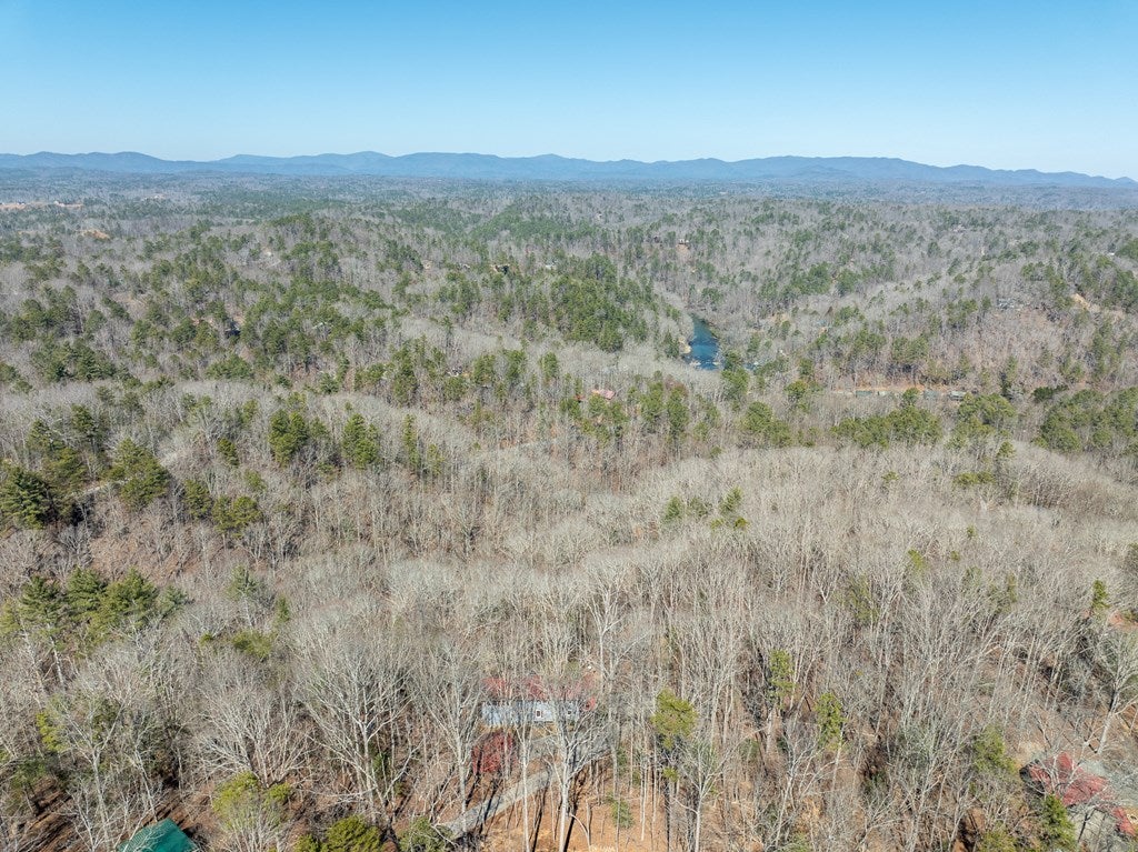 Ellijay, Georgia, 30540, United States, 4 Bedrooms Bedrooms, ,4 BathroomsBathrooms,Residential,For Sale,1858933