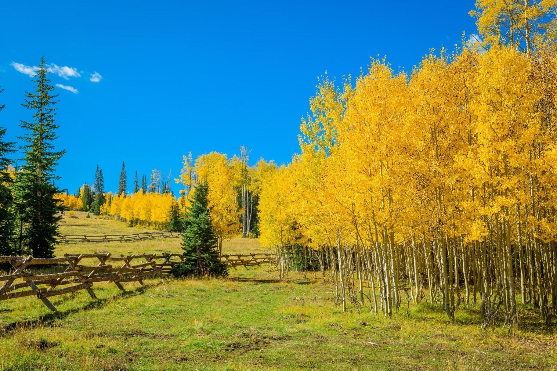  Beautiful New Ski-In/Ski-Out Community In Brian Head - 物件實景