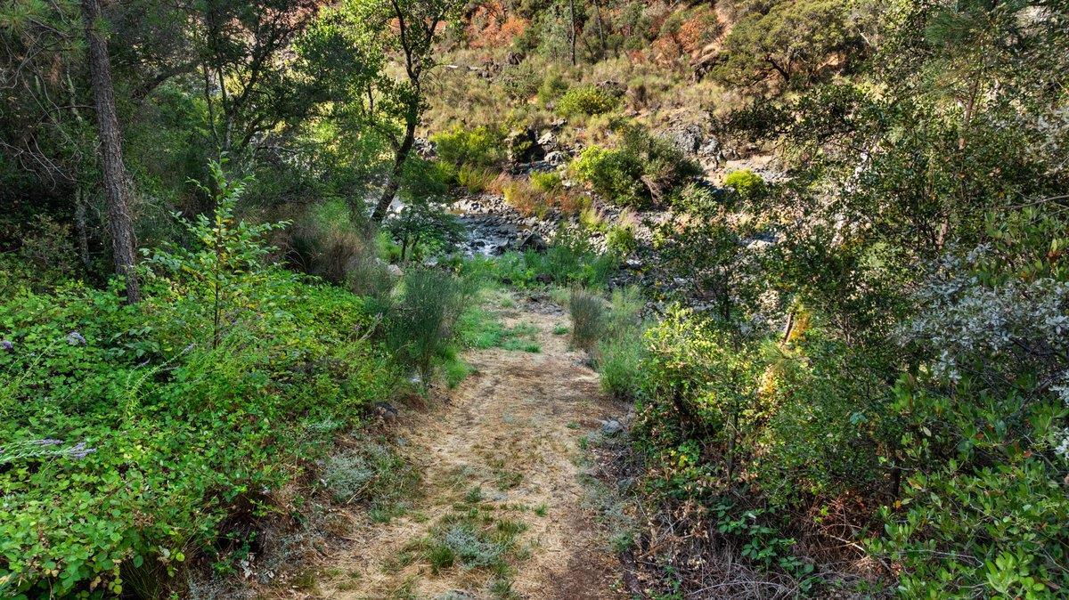 Grass Valley, California, 95949, United States, 4 Bedrooms Bedrooms, ,3 BathroomsBathrooms,Residential,For Sale,1924351