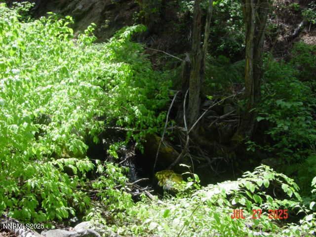 Clio, California, 96106, United States, ,Residential,For Sale,1932823