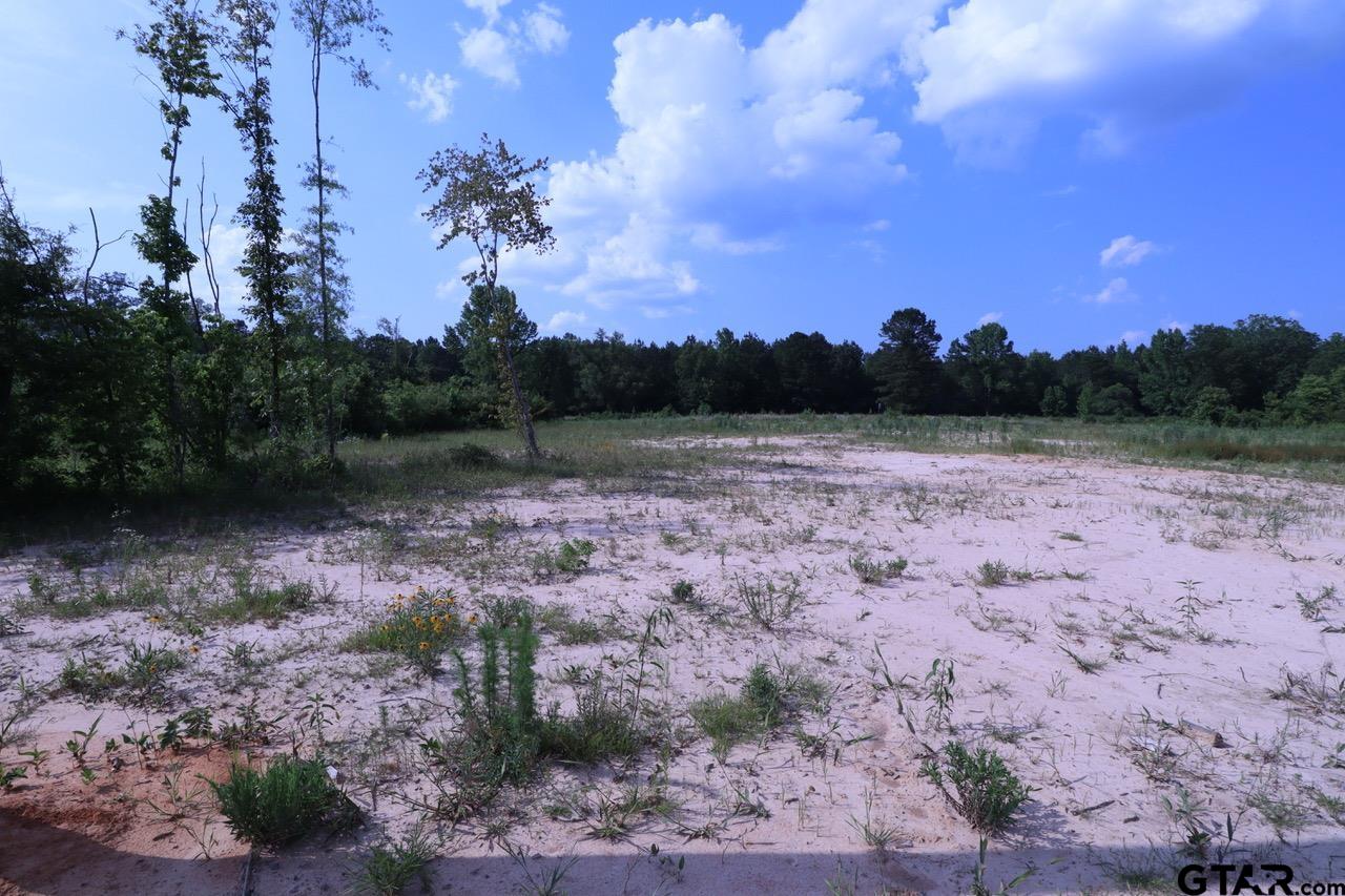 TBD Intersection CR 1324 & CR 1301, Marshall, Texas, 75672, United States, ,Land,For Sale,TBD Intersection CR 1324 & CR 1301,1610763