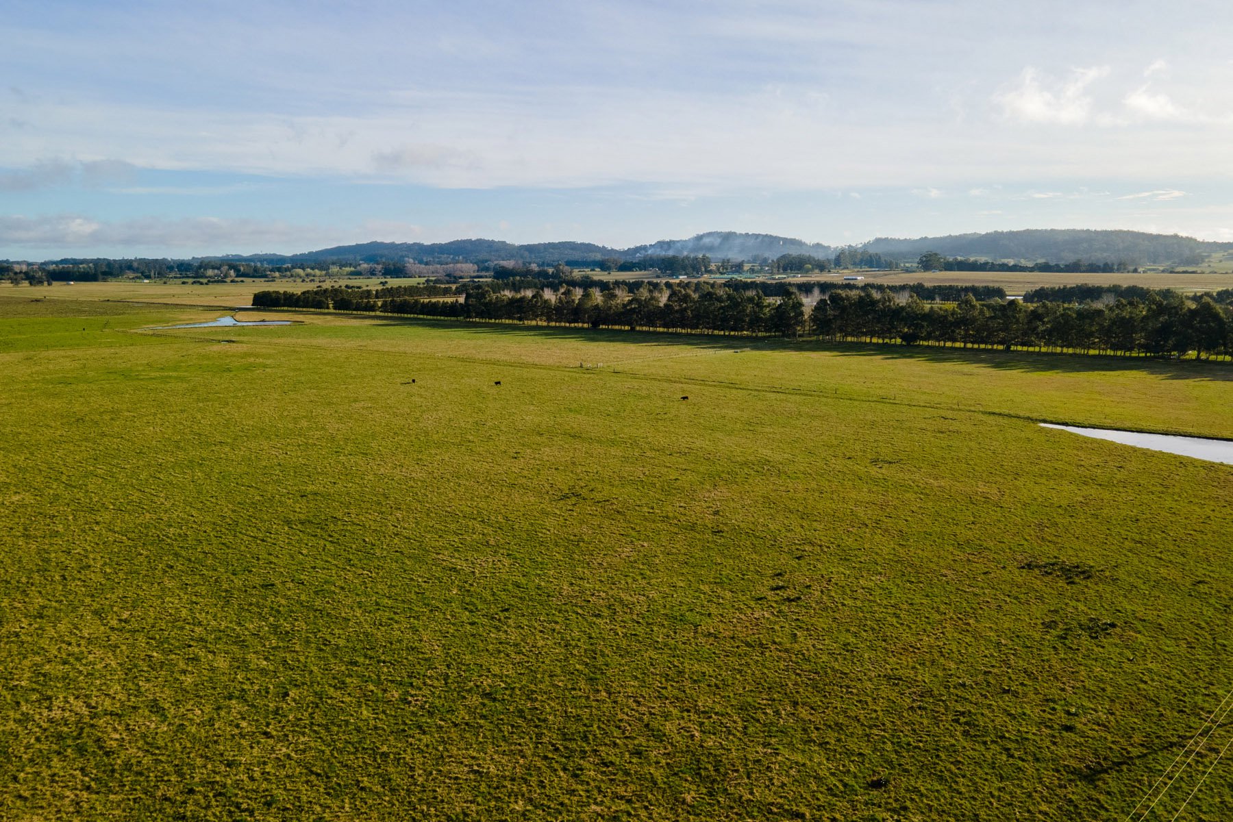  NAHUEL Stud Farm - 物件實景