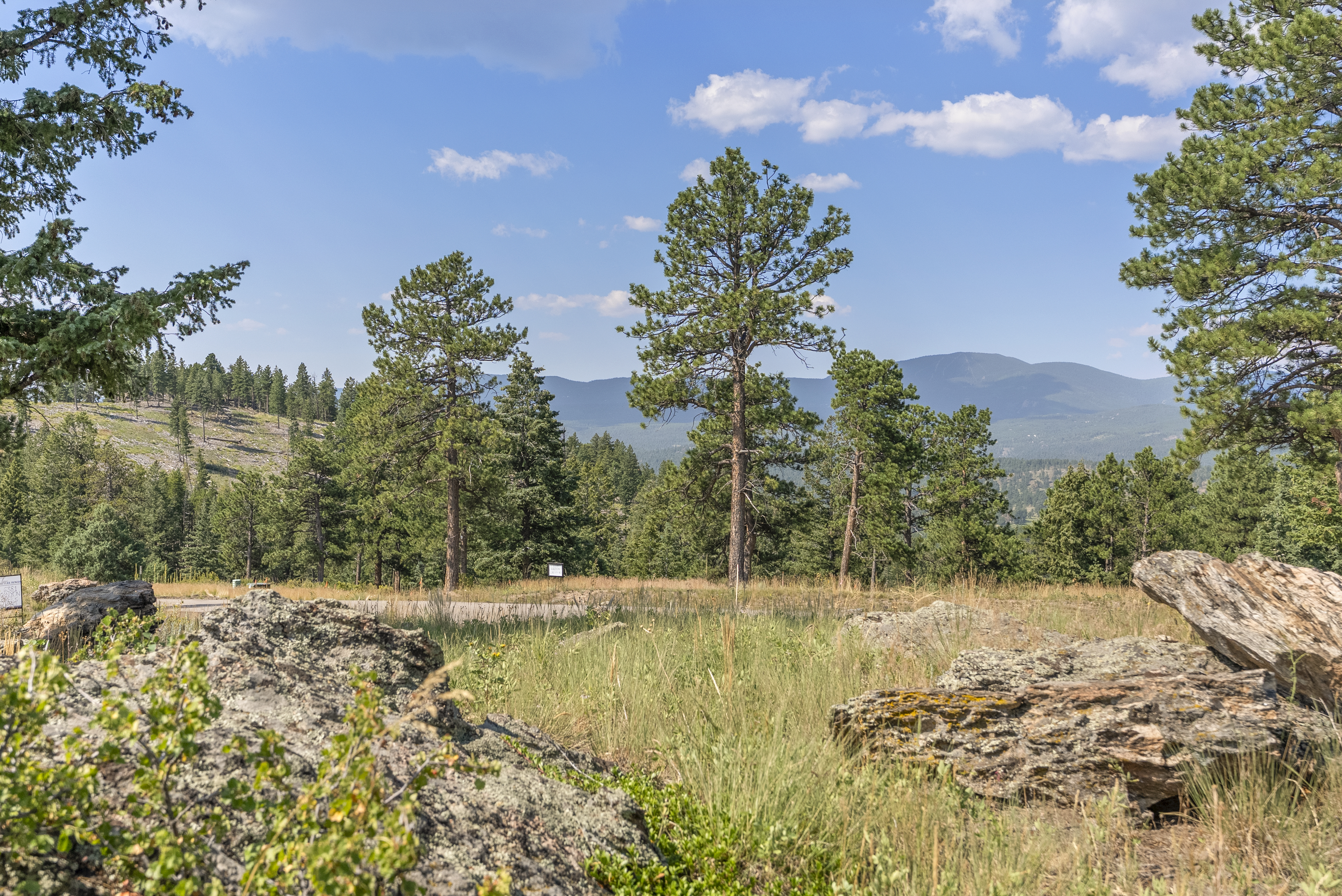  Acreage Available in Evergreen