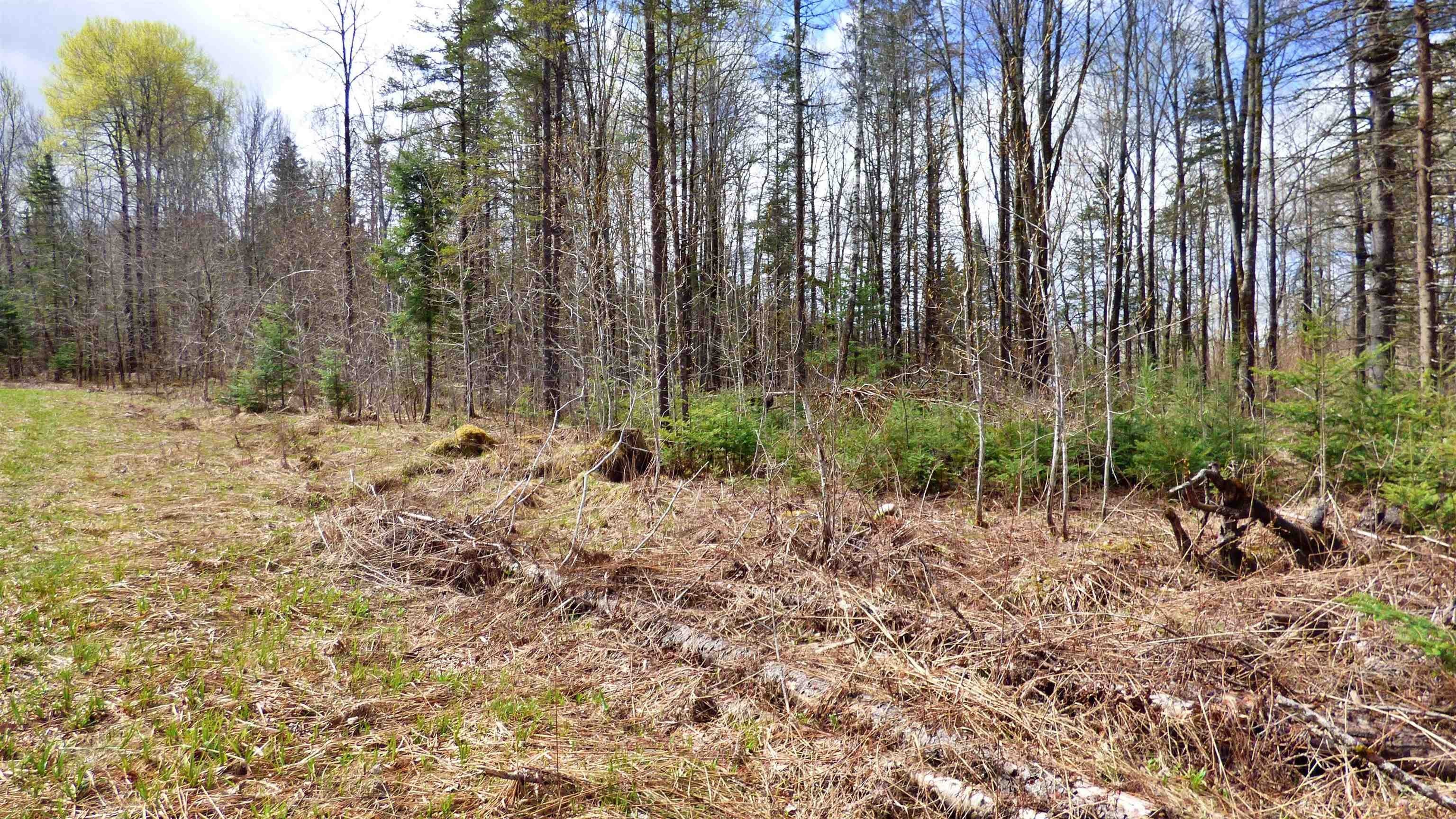 Wheelock, Vermont, 05851, United States, ,Land,For Sale,2017669
