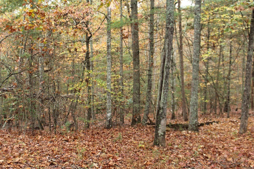 Murphy, North Carolina, 28906, United States, 2 Bedrooms Bedrooms, ,4 BathroomsBathrooms,Residential,For Sale,1915362