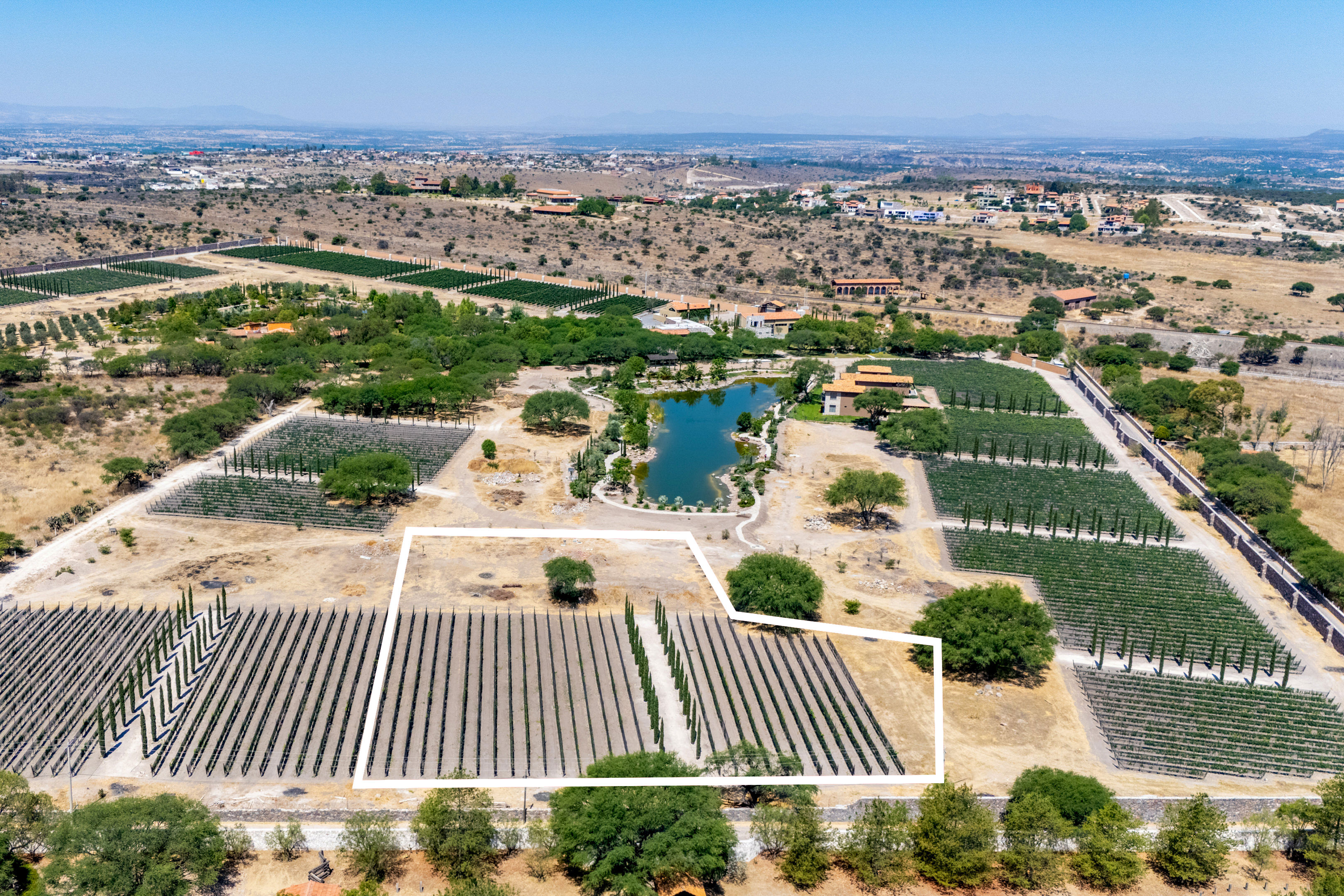  Viñedos Patria Lots - 物件實景