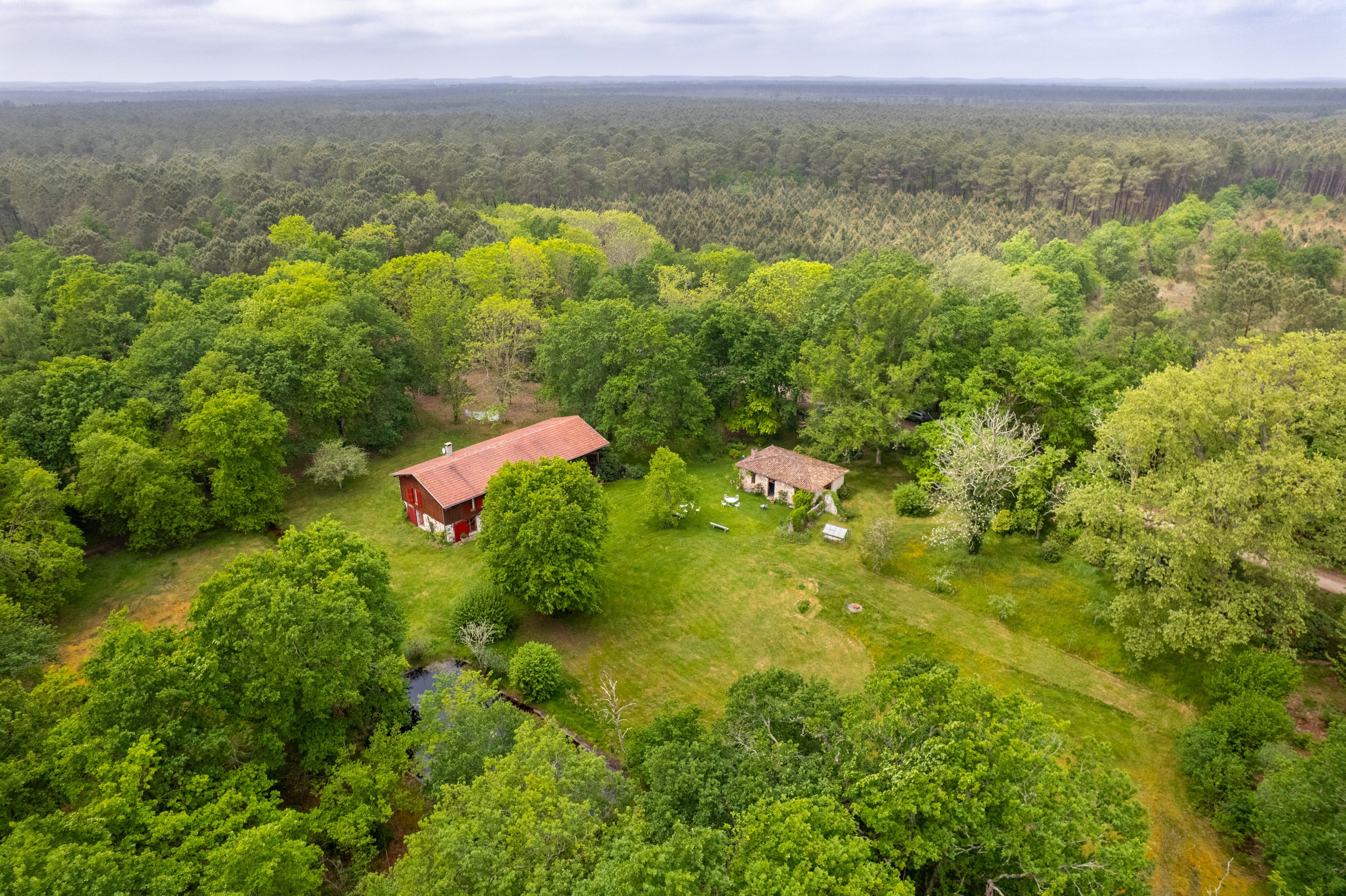  ARÈS – FOREST ESTATE WITH SWIMMING POOL SET ON 7 HECTARES - 物件實景