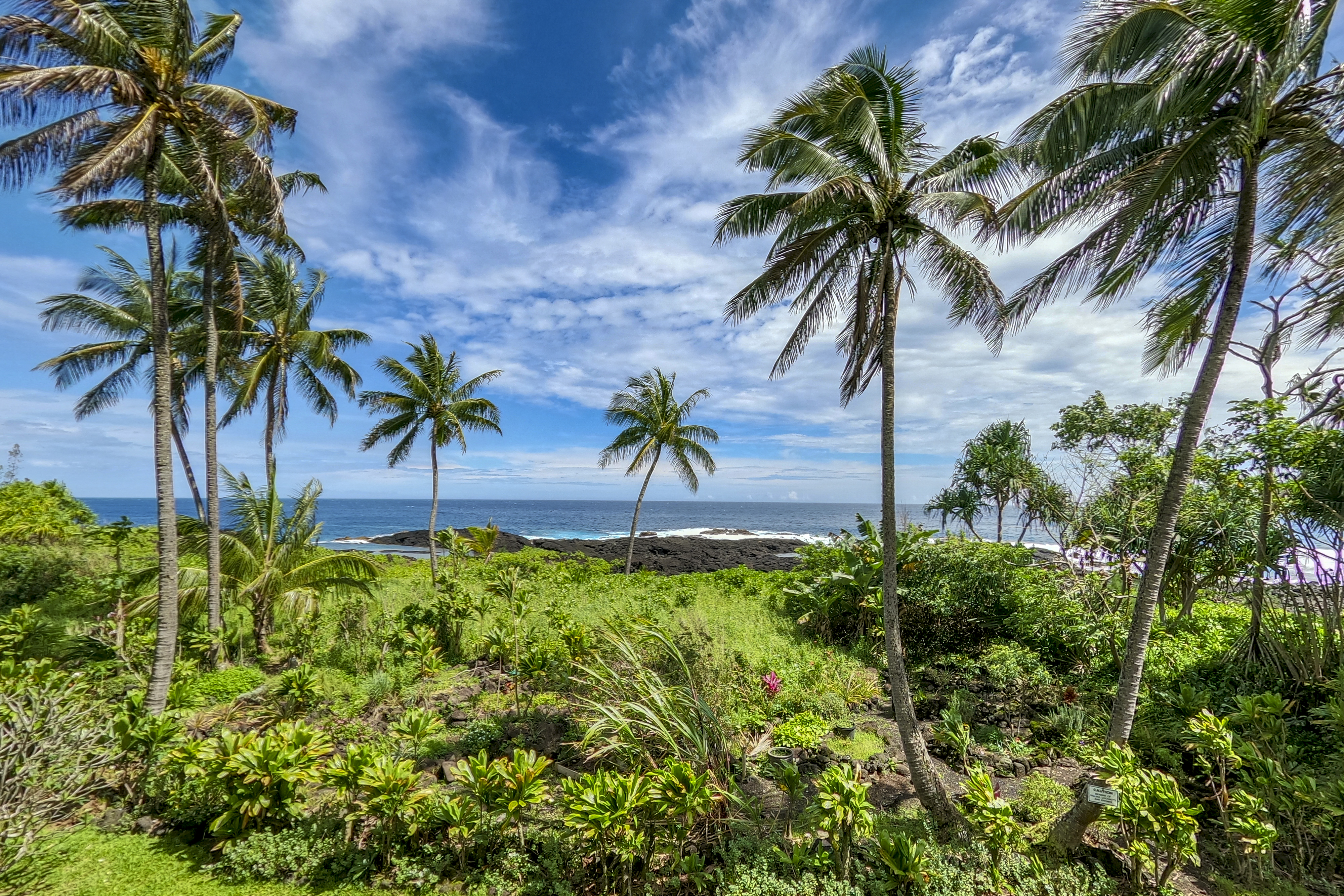  2405 Kalanianaole Ave, Hilo, HI, 96720 - 物件實景